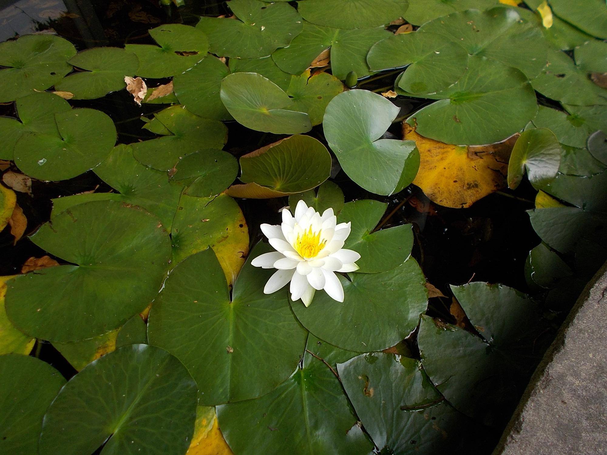 DSCN9693.jpg