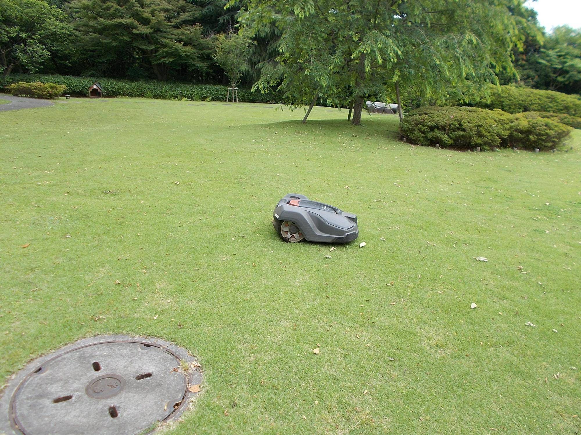 DSCN9694.jpg