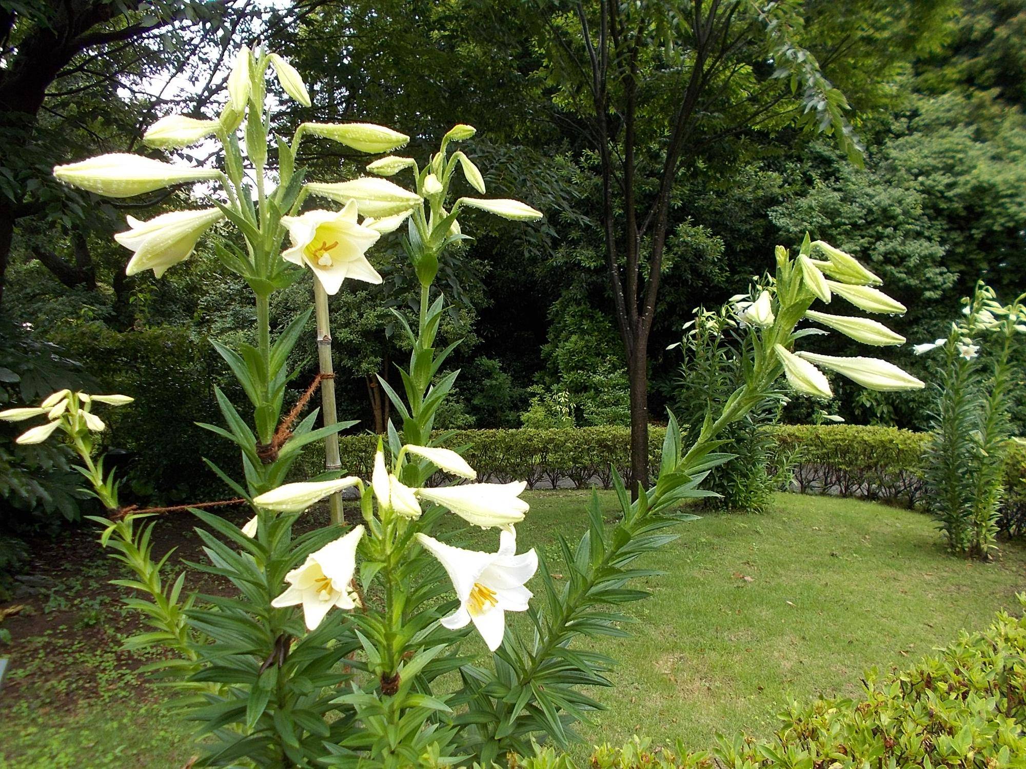 DSCN9702.jpg