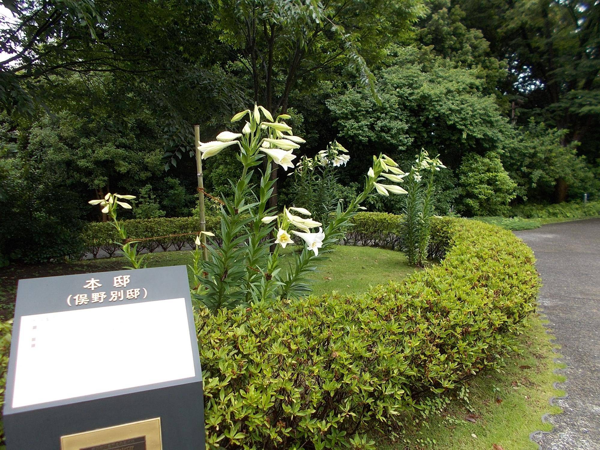 DSCN9704.jpg