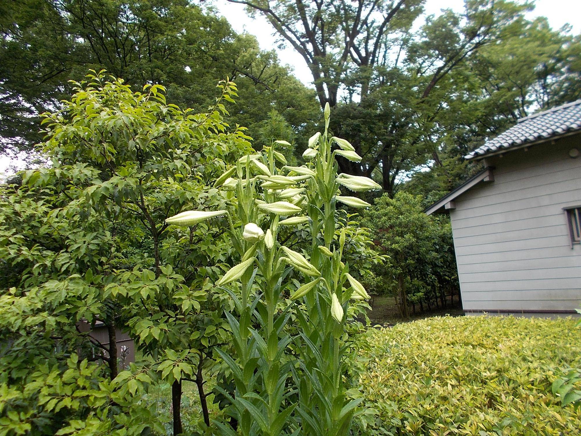 DSCN9705.jpg