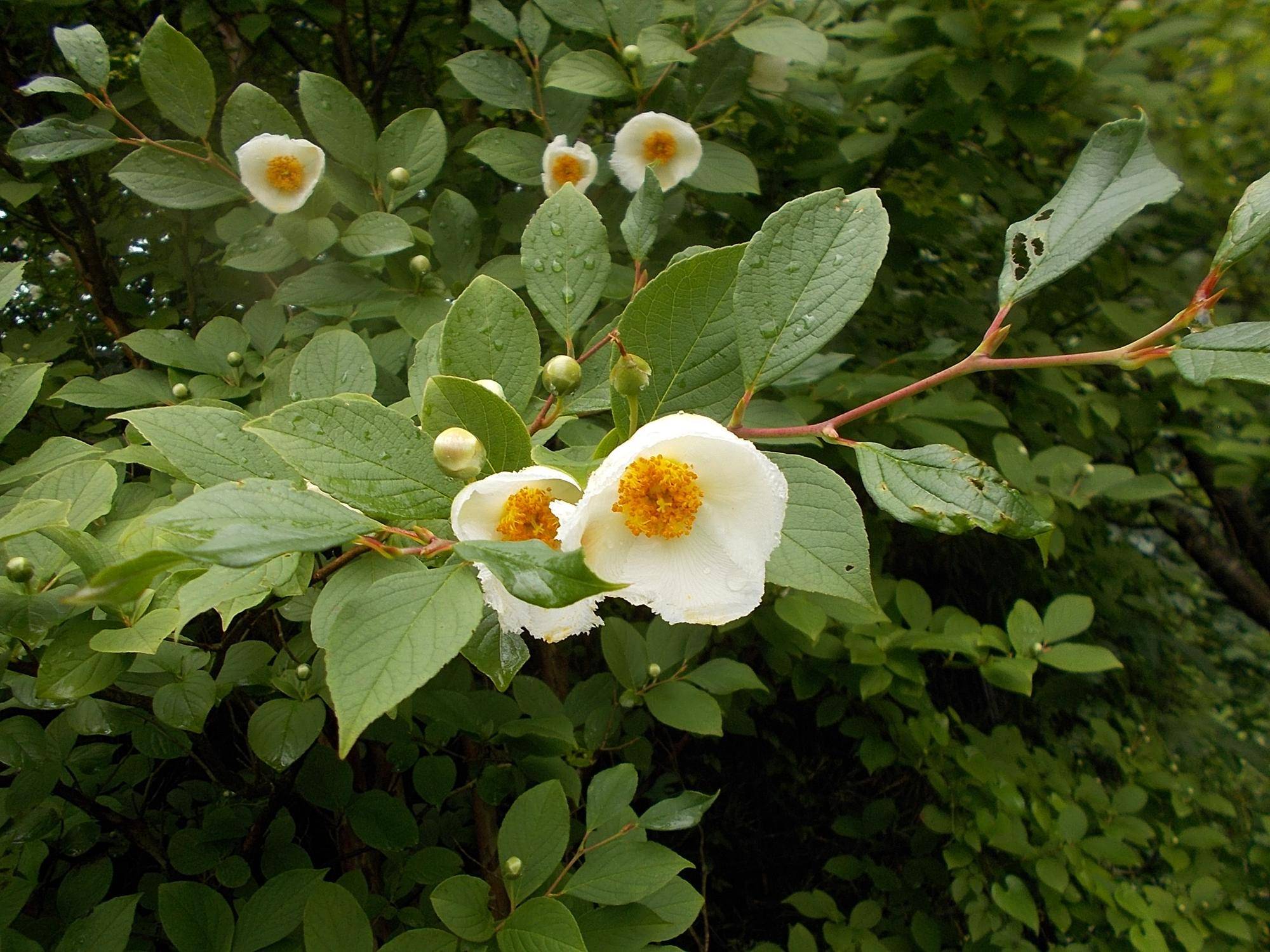 DSCN9710.jpg