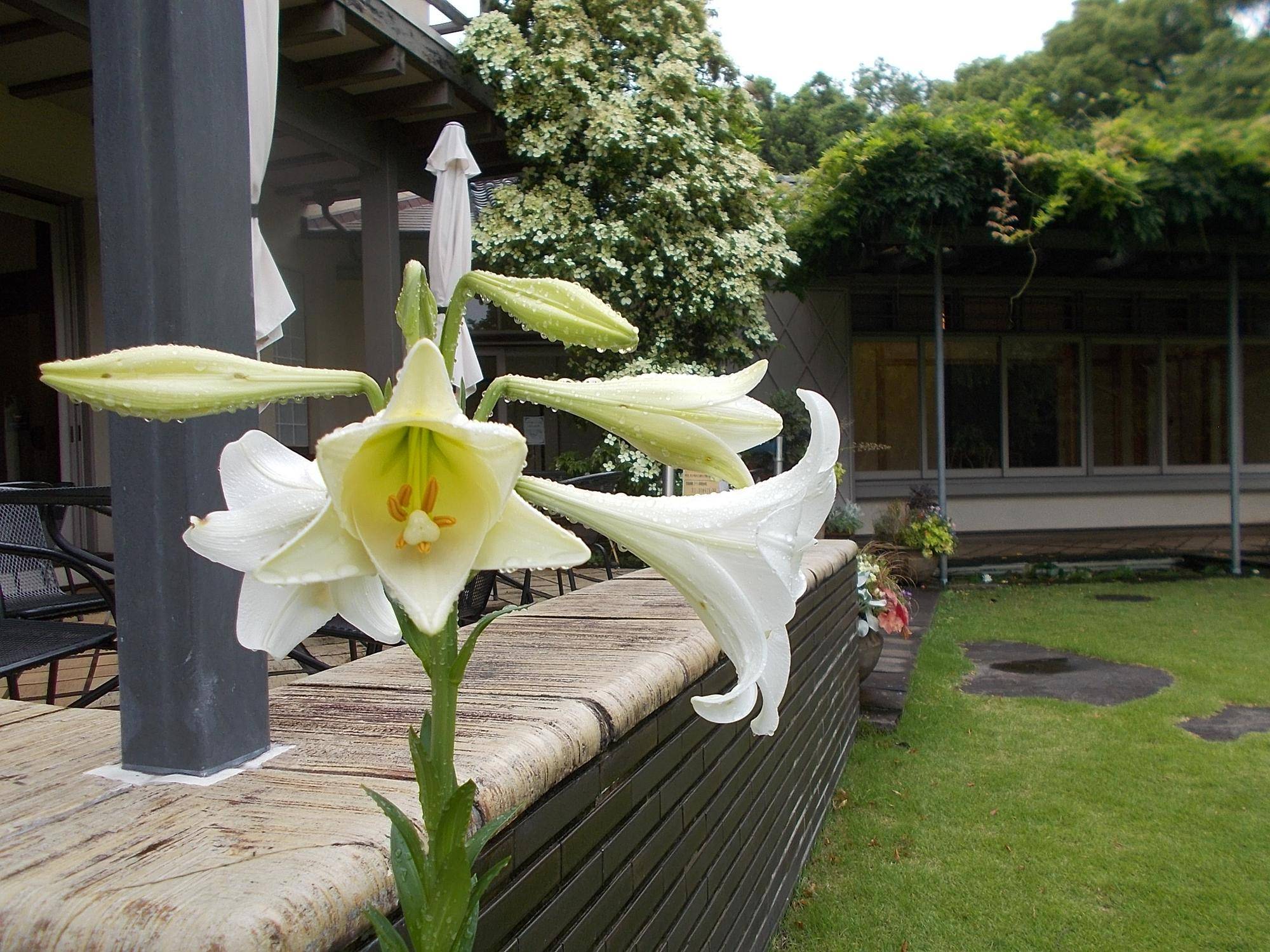 DSCN9719.jpg