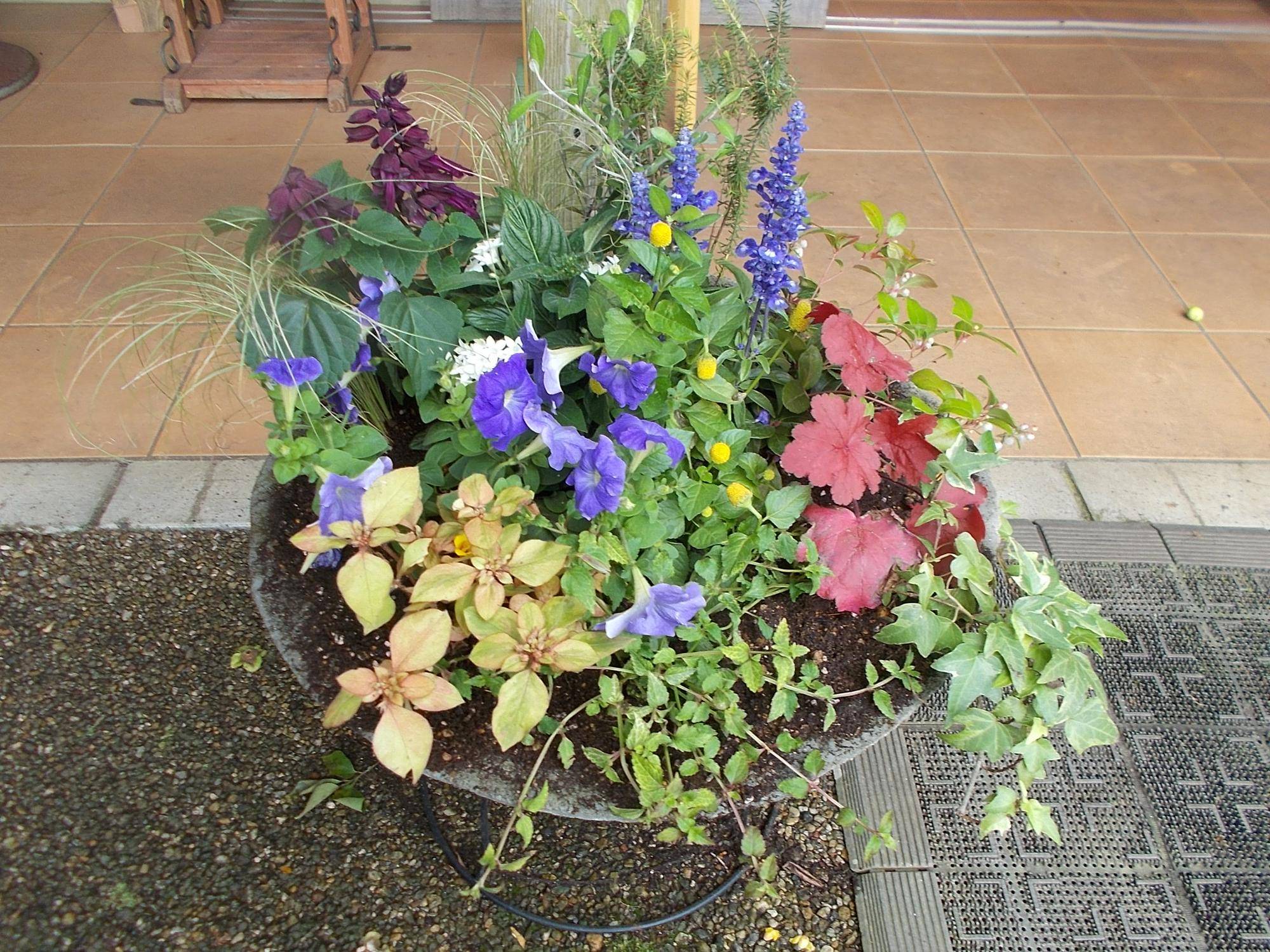 DSCN9723.jpg