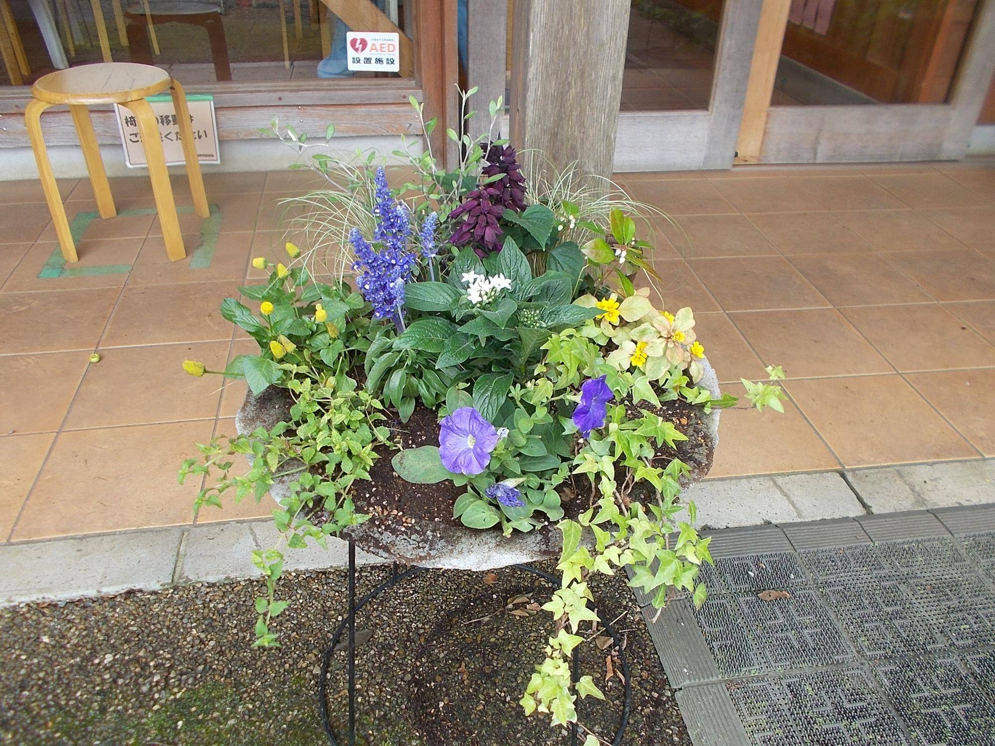 DSCN9725.jpg