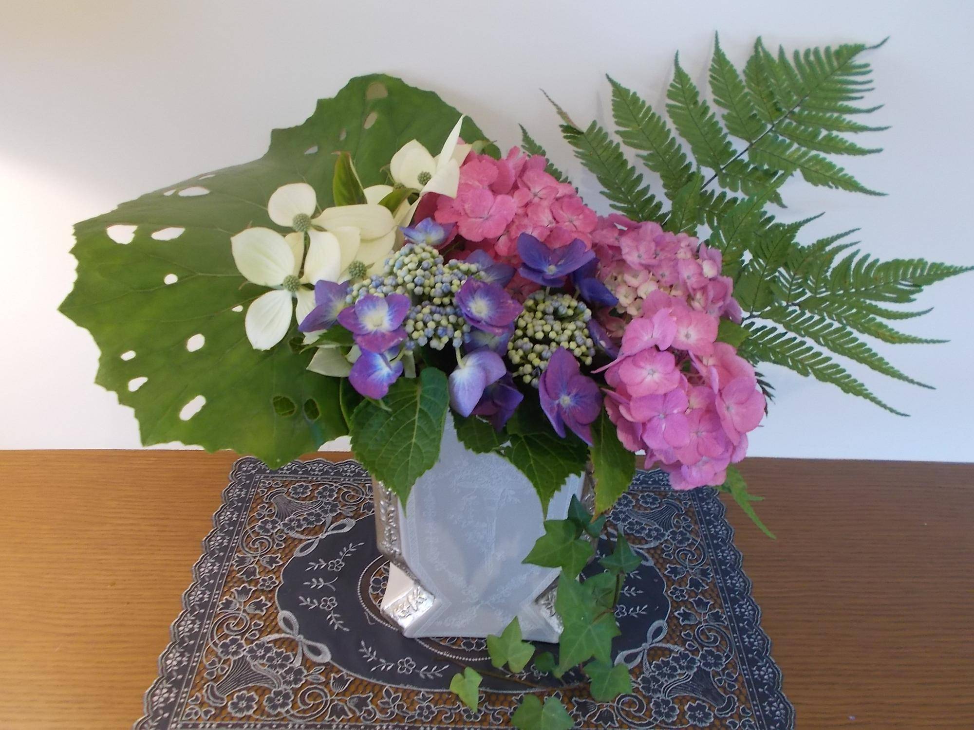 DSCN9740.jpg