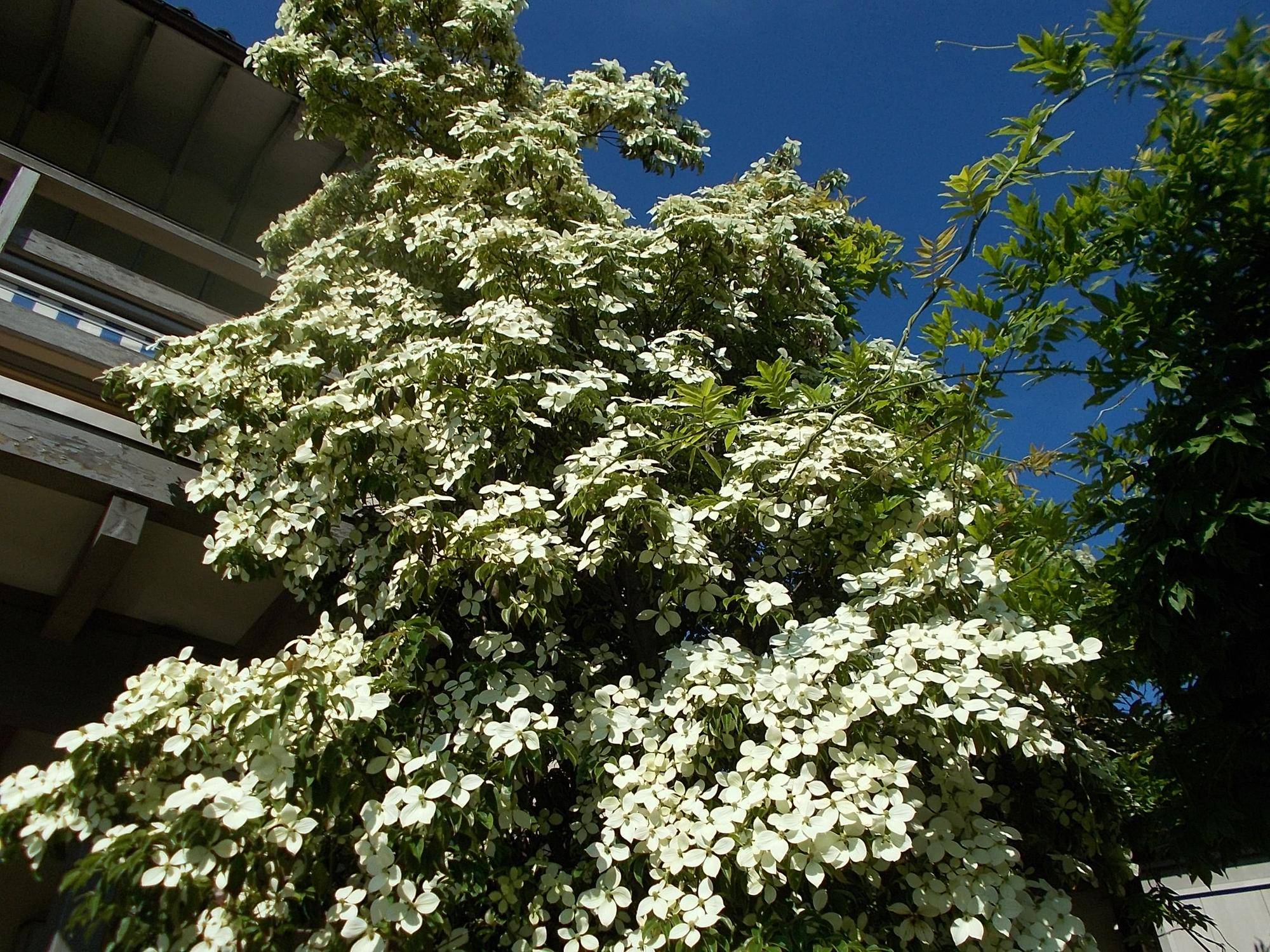 DSCN9839.jpg