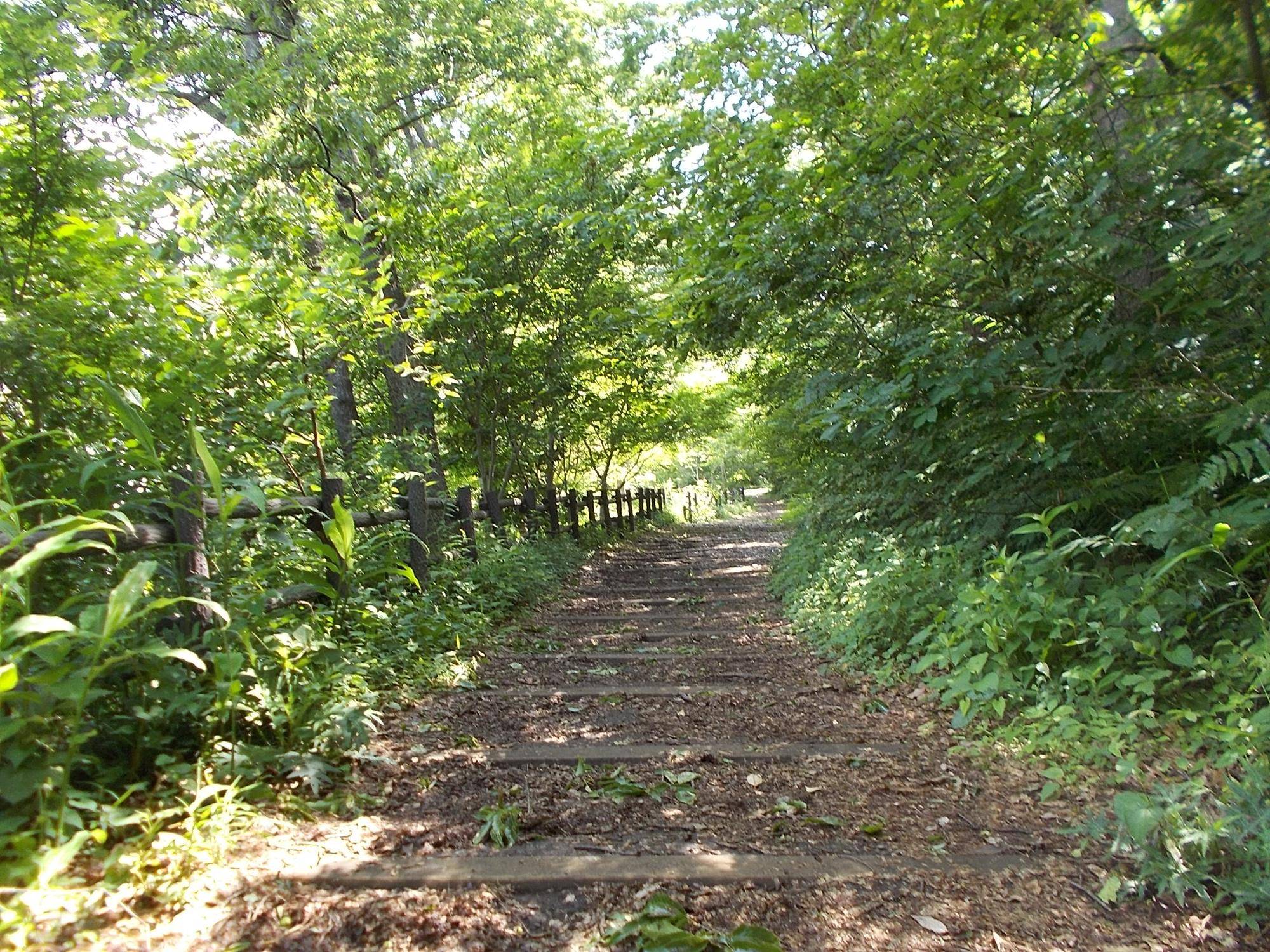DSCN9651.jpg