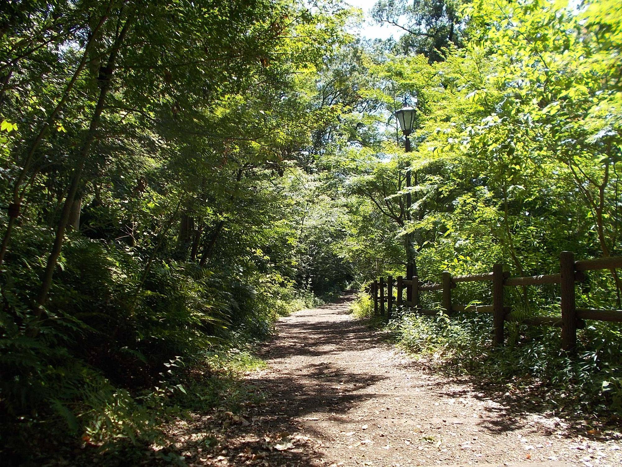 DSCN9070.jpg