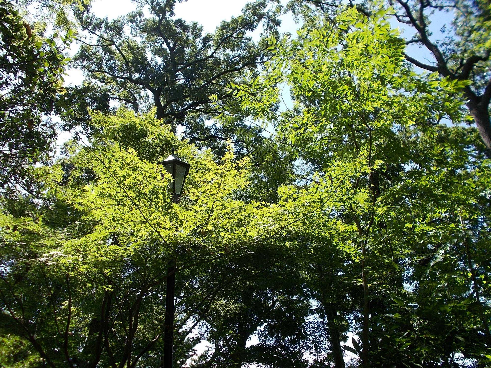 DSCN9071.jpg