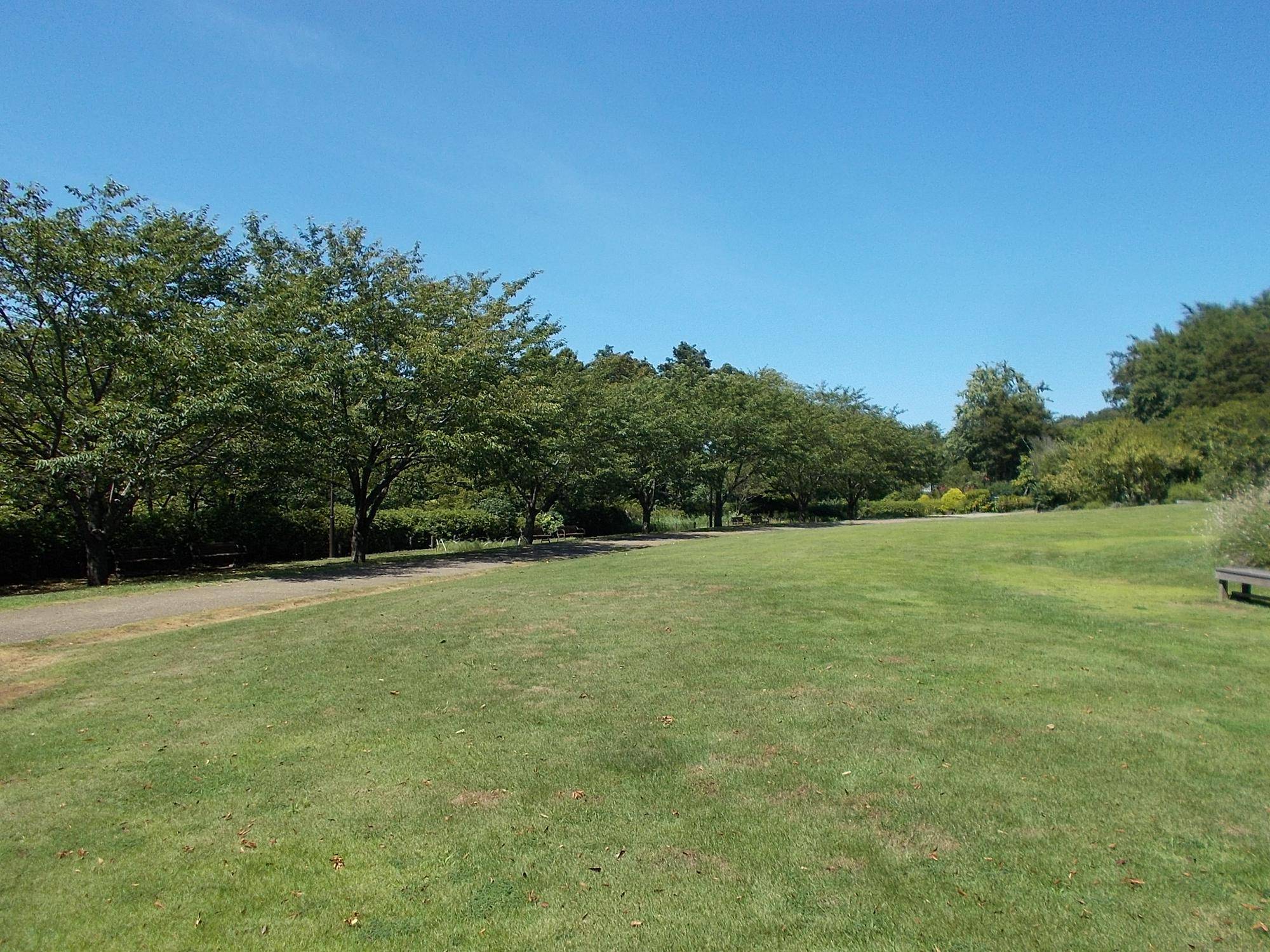 DSCN9076.jpg