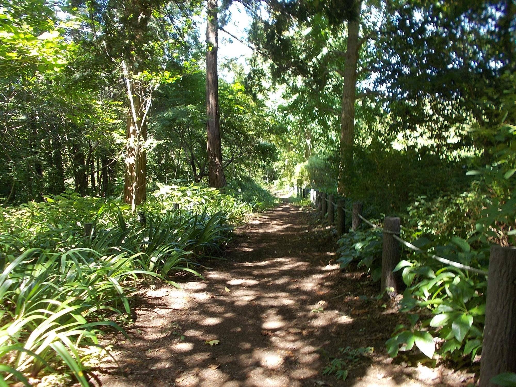 DSCN9084.jpg
