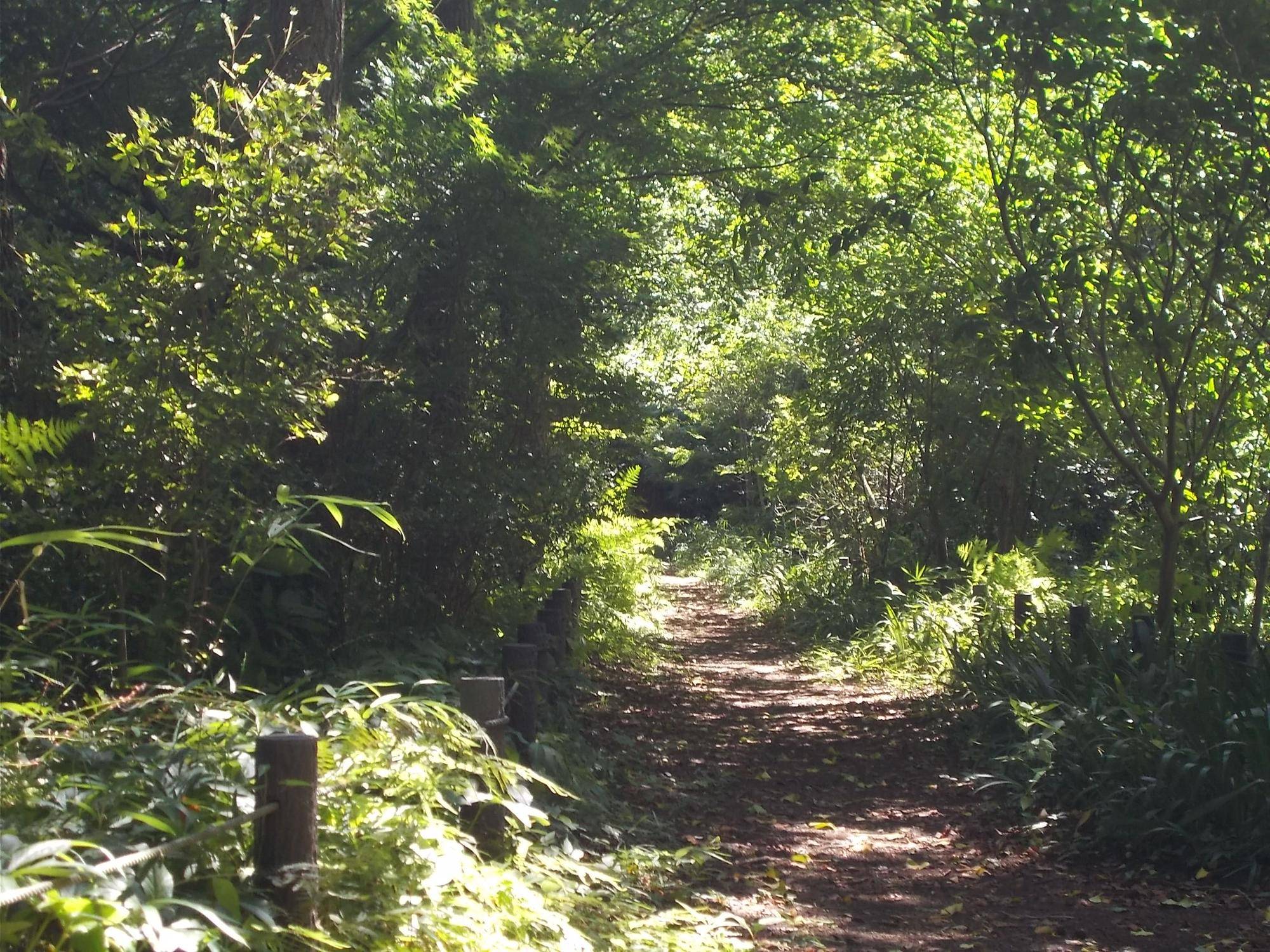 DSCN9087.jpg