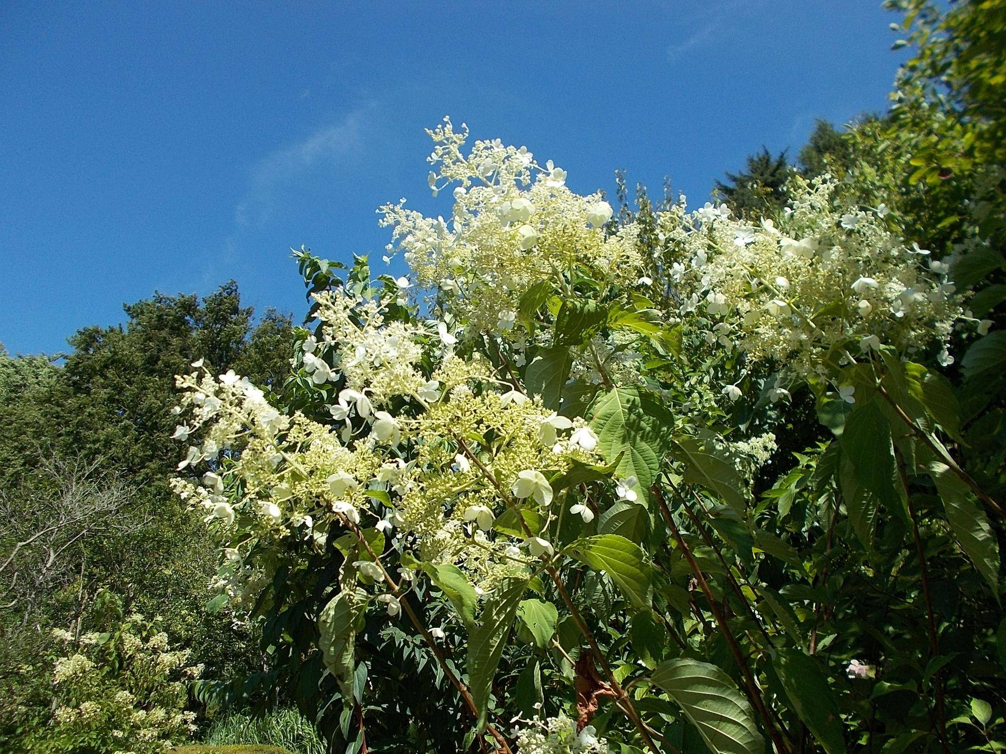 DSCN9088.jpg
