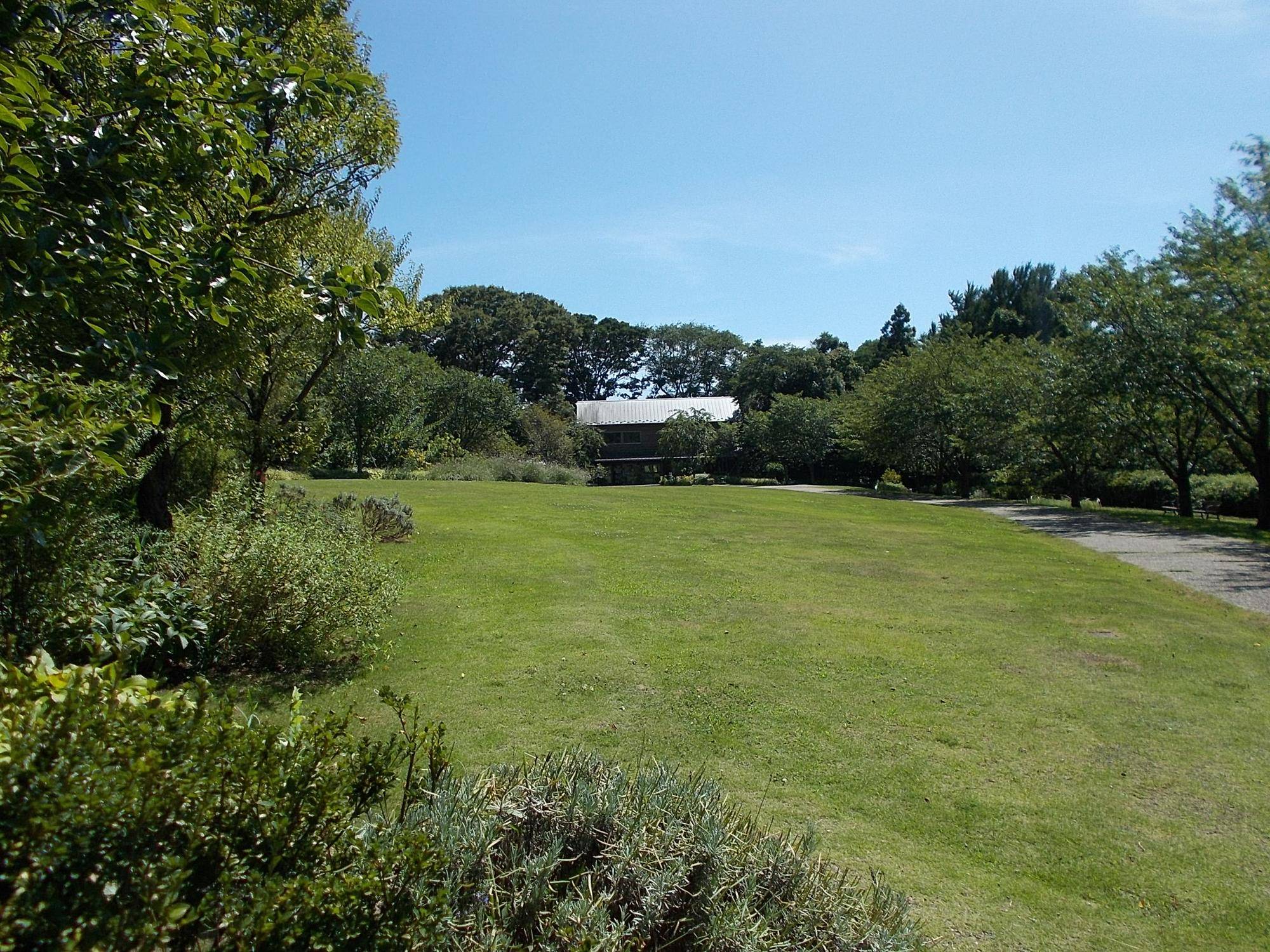 DSCN9090.jpg