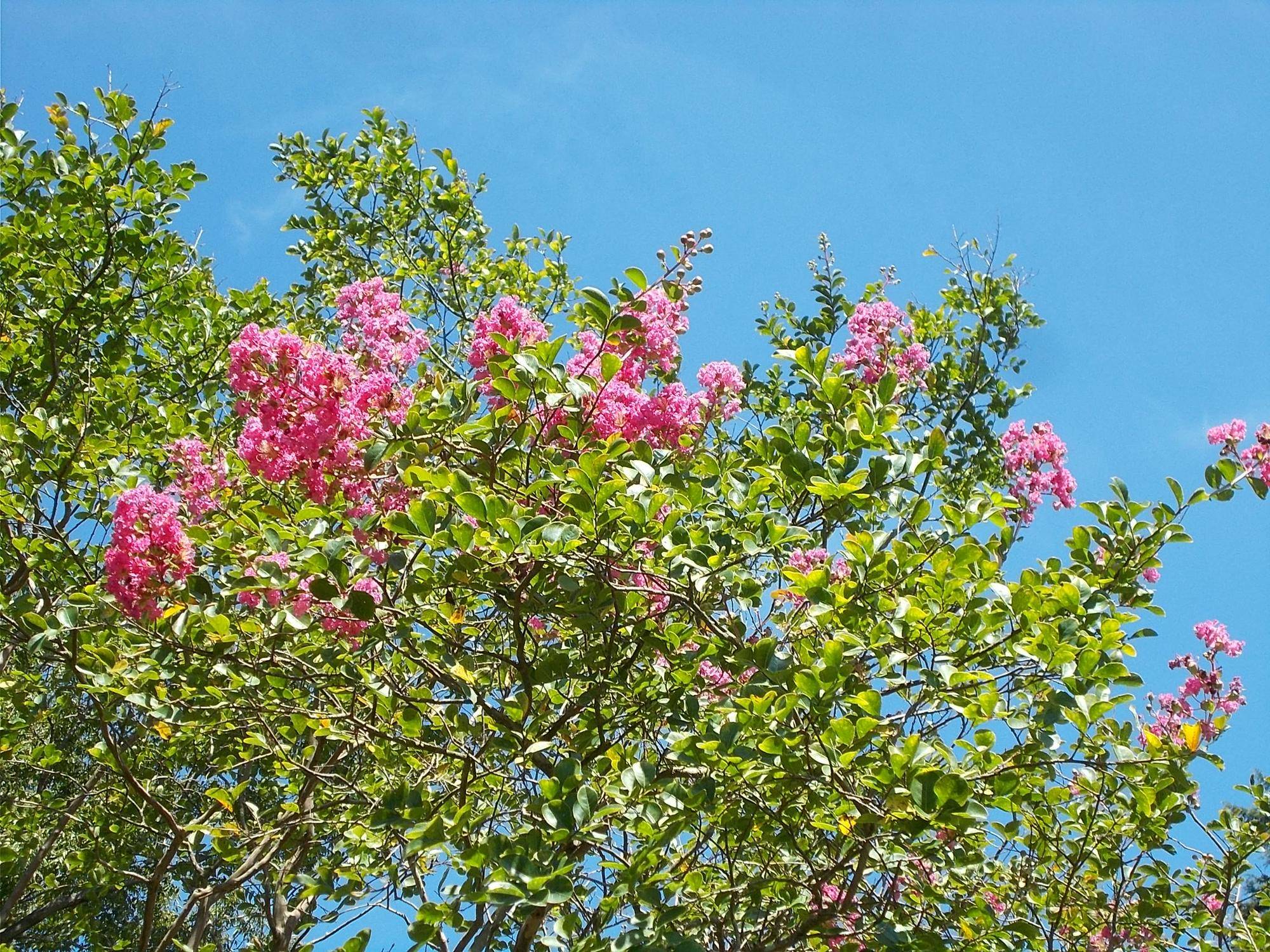DSCN9097.jpg