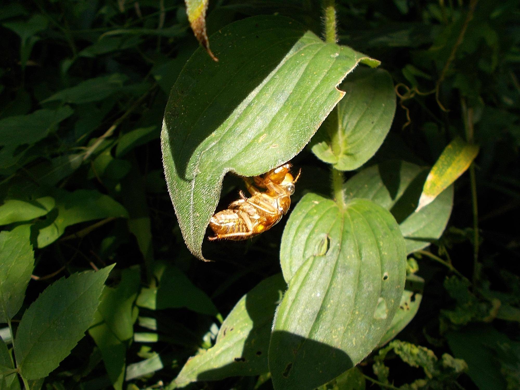 DSCN9099.jpg