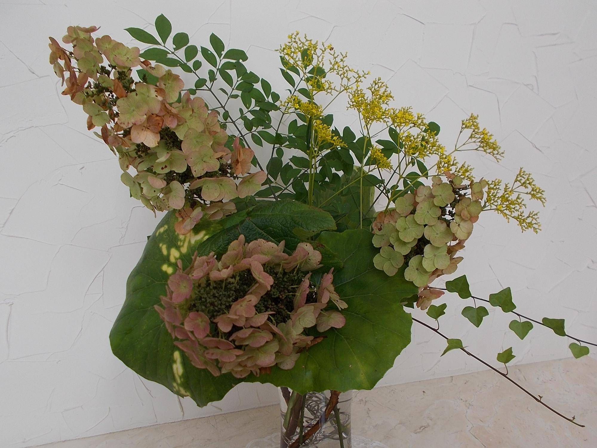 DSCN9115.jpg