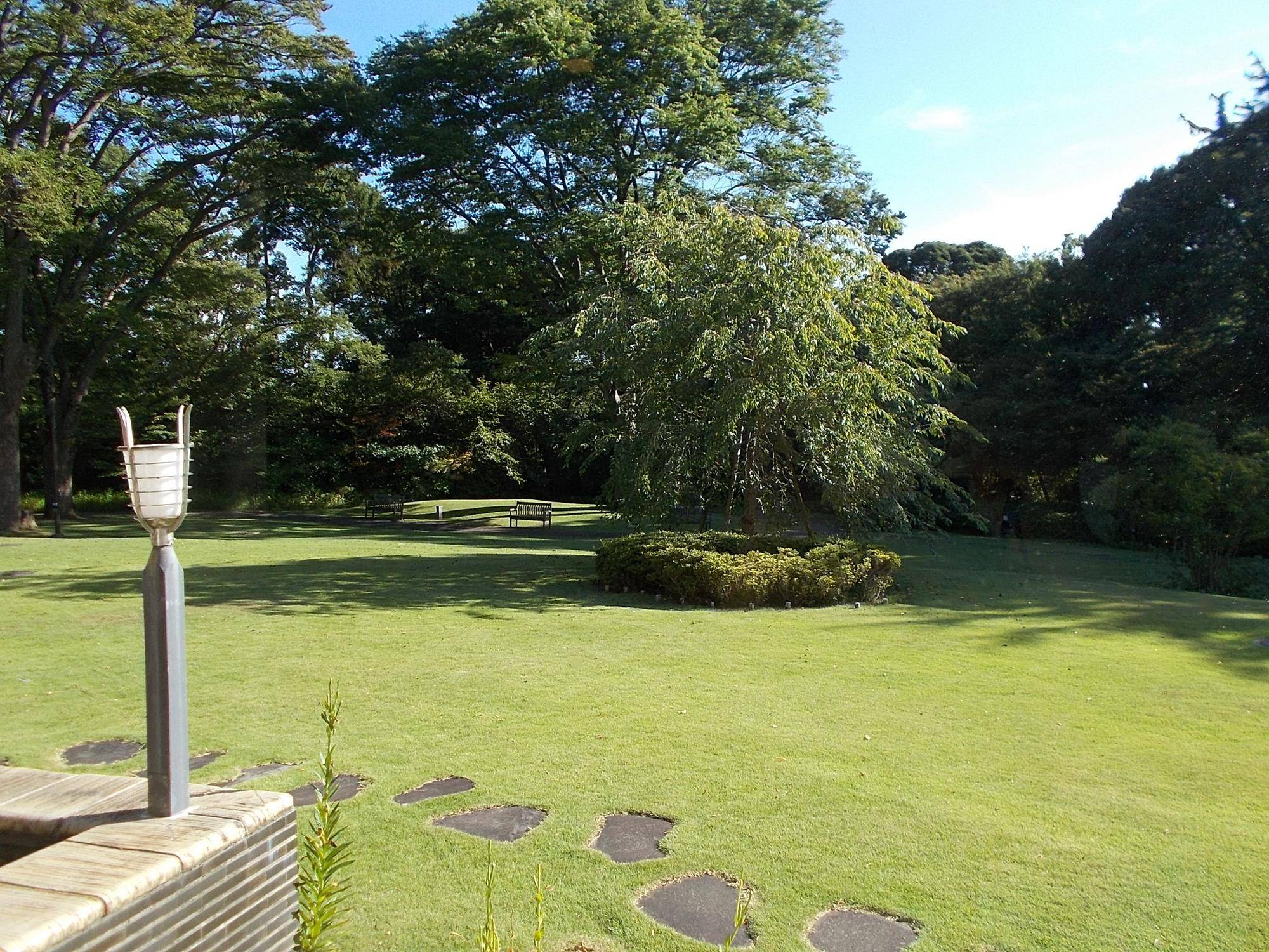 DSCN9119.jpg