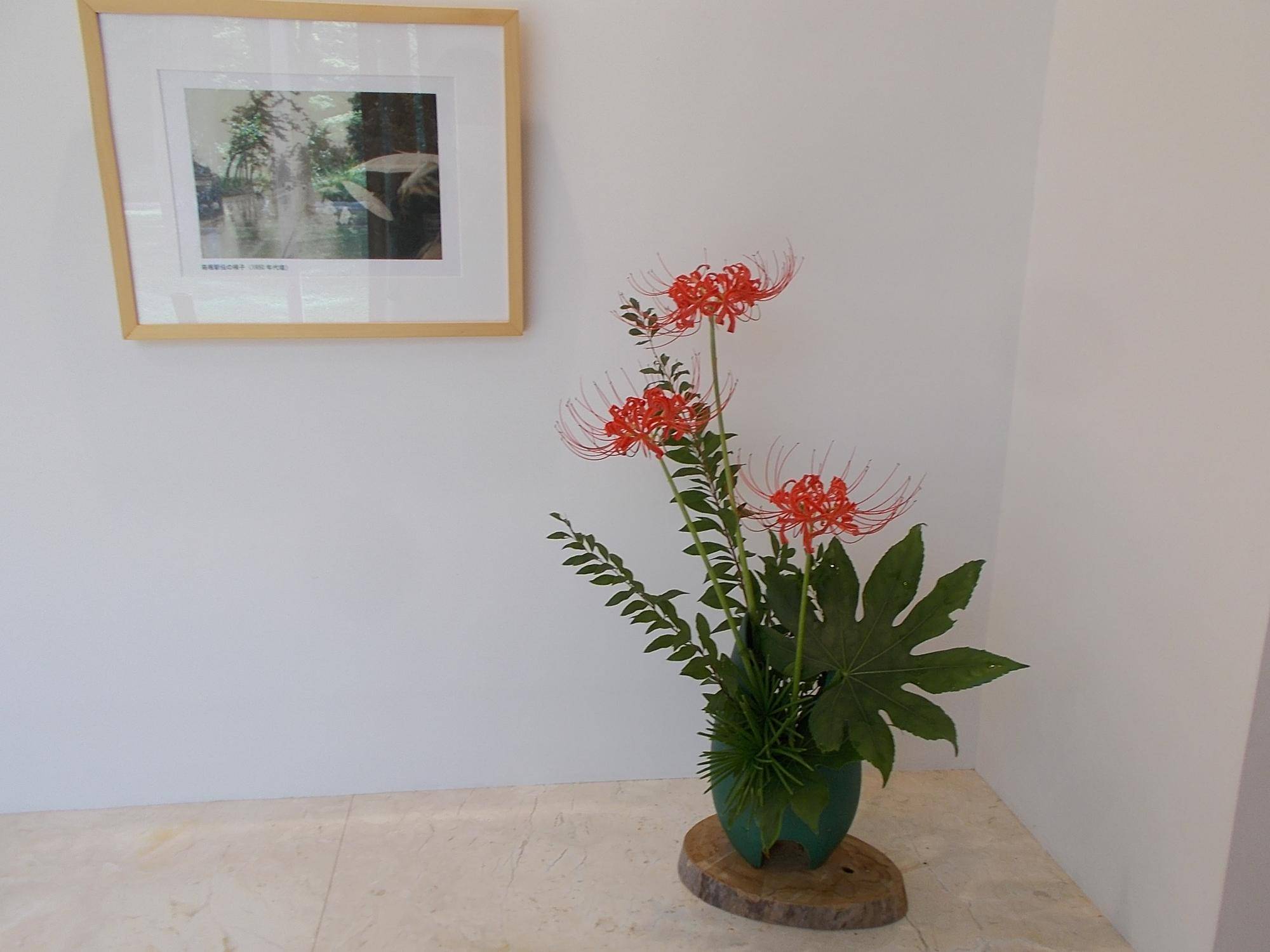 DSCN9863.jpg