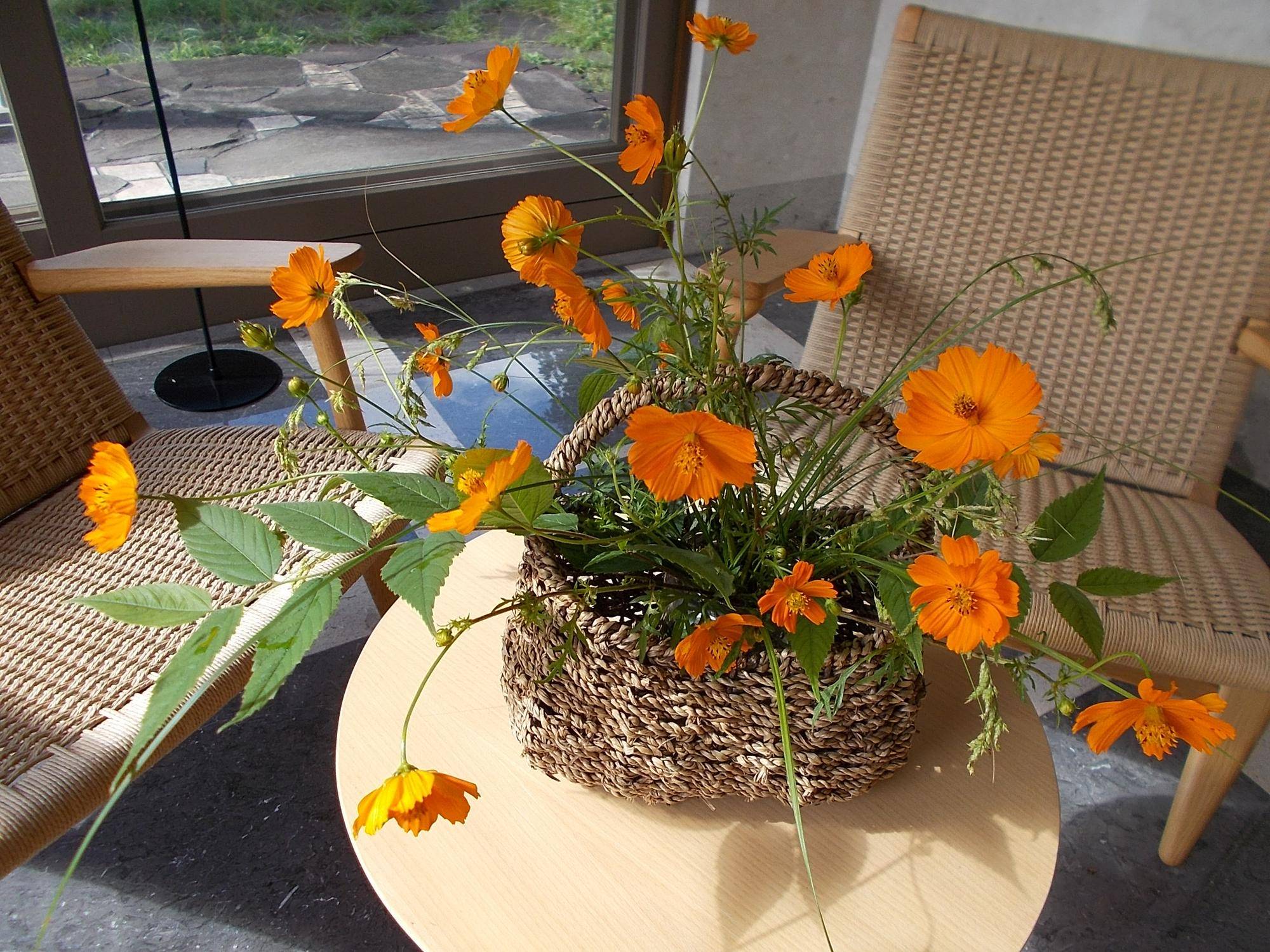 DSCN9869.jpg