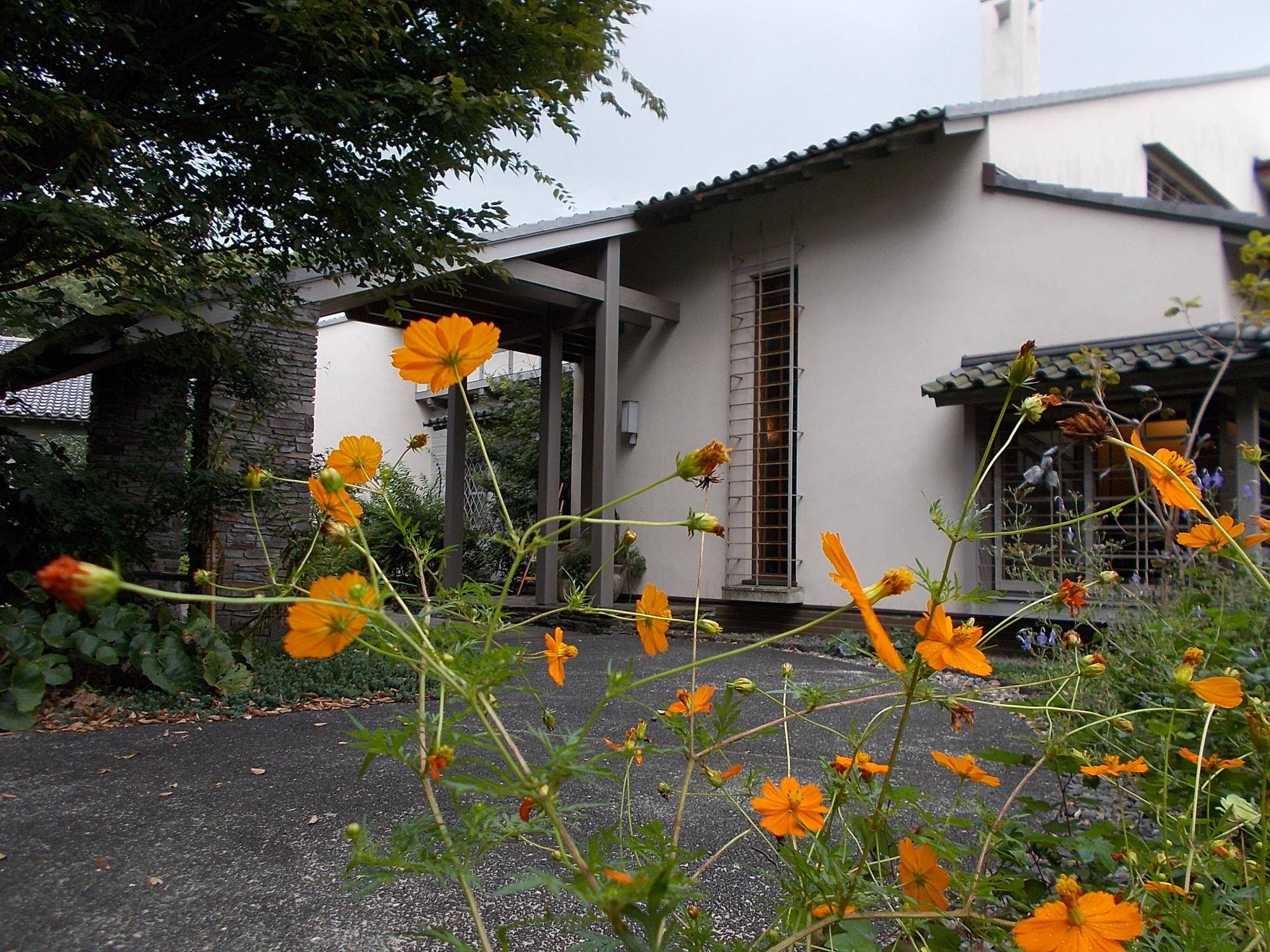 DSCN9898.jpg
