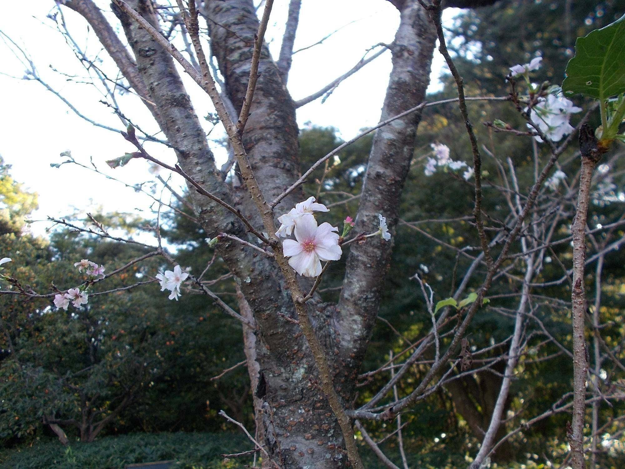 DSCN9922.jpg