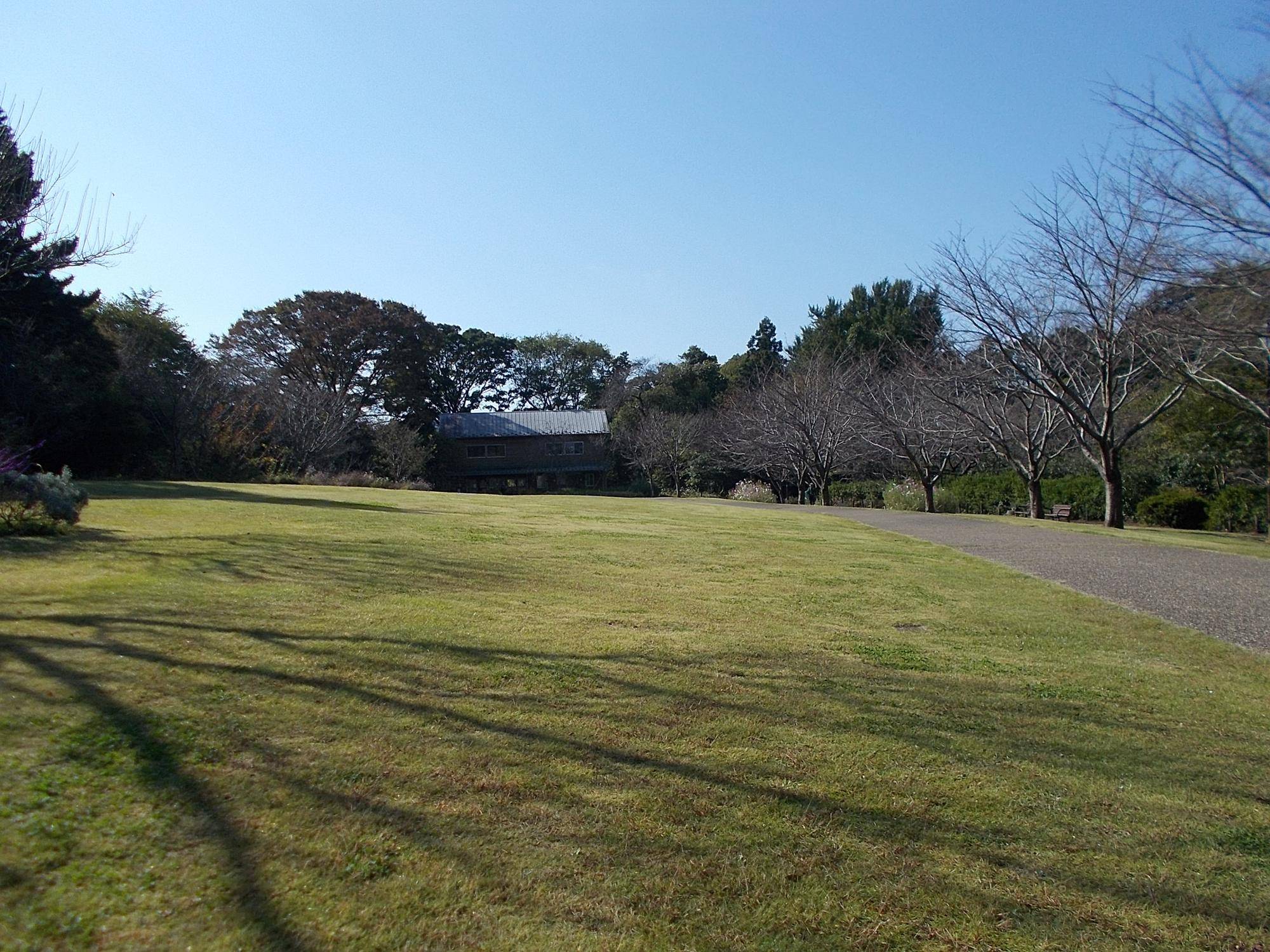 DSCN0275.jpg