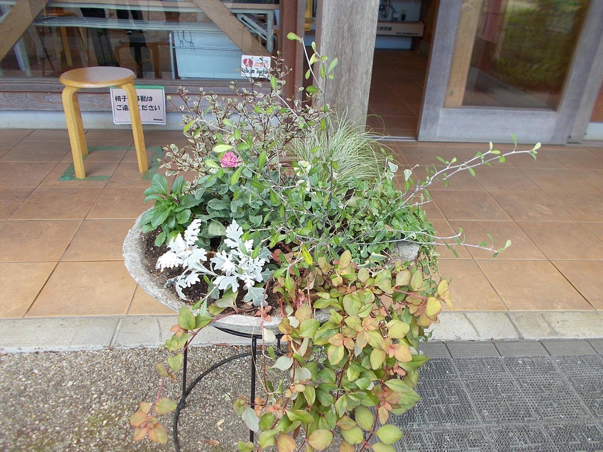 DSCN0248.jpg
