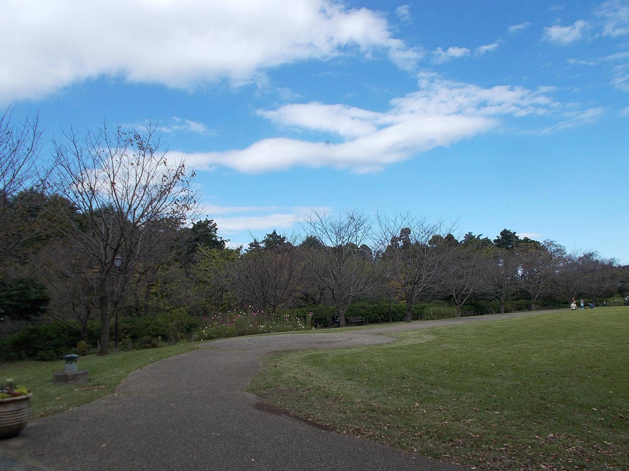 DSCN0245.jpg