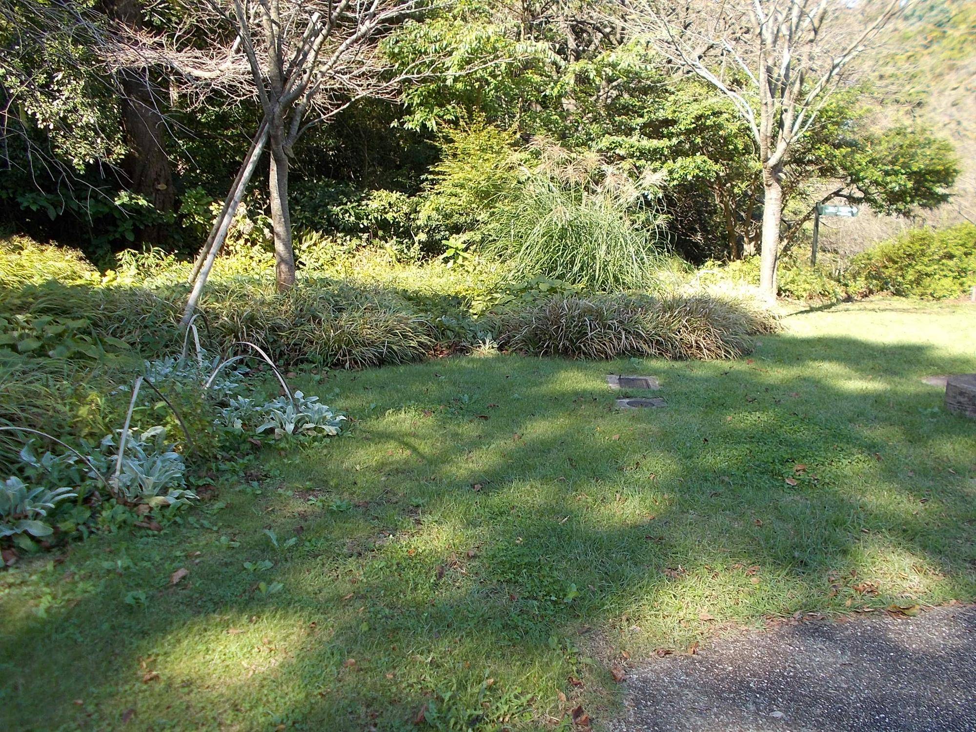 DSCN0091.jpg