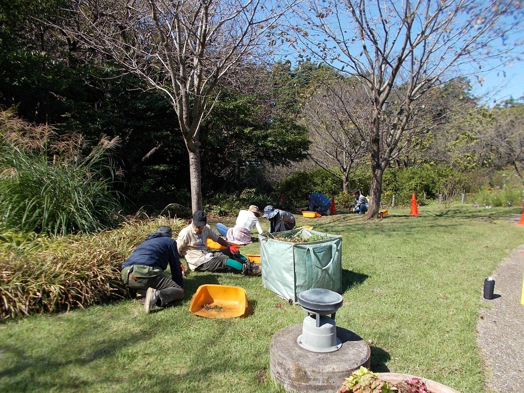 DSCN0115.jpg
