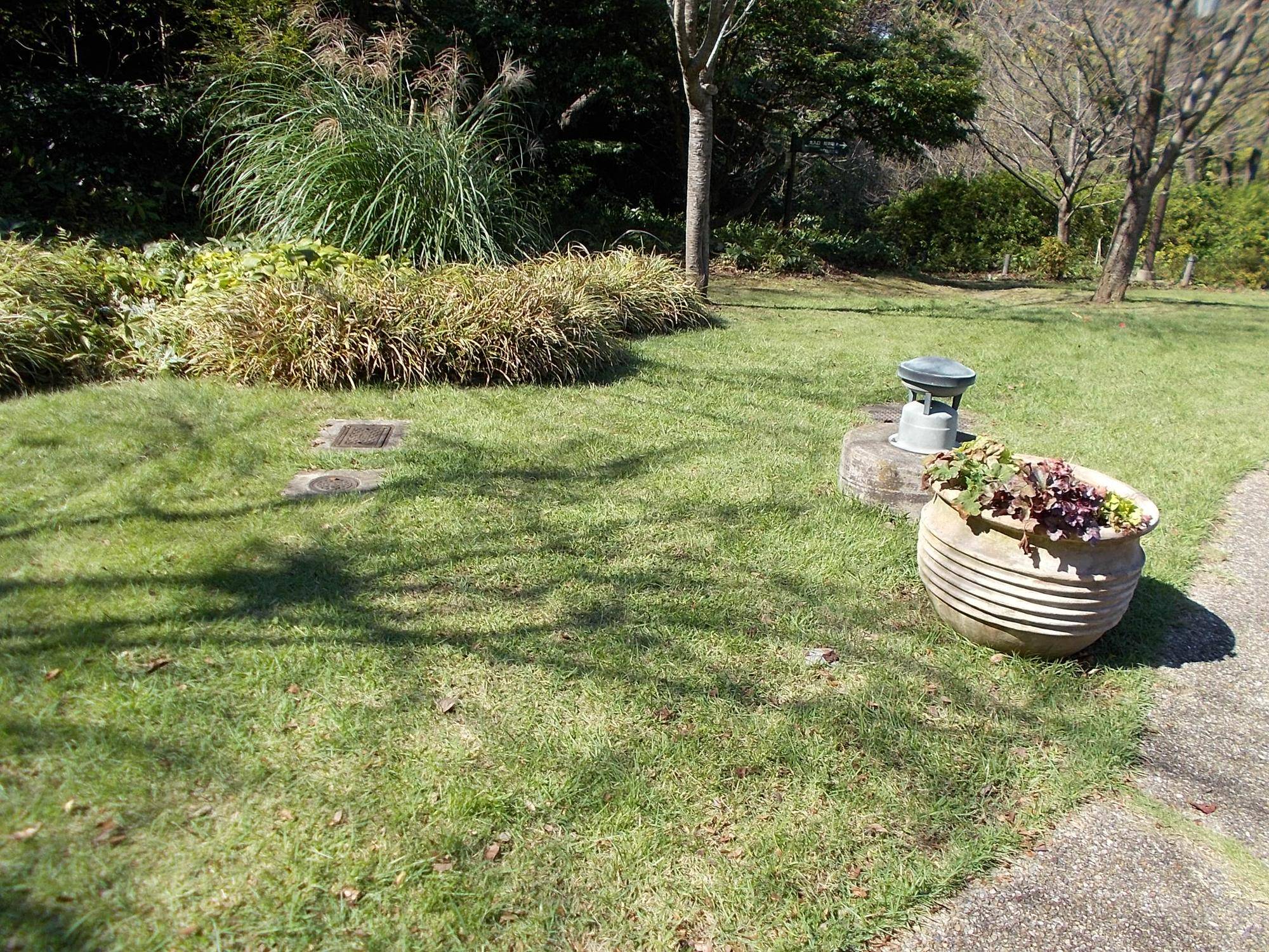DSCN0122.jpg