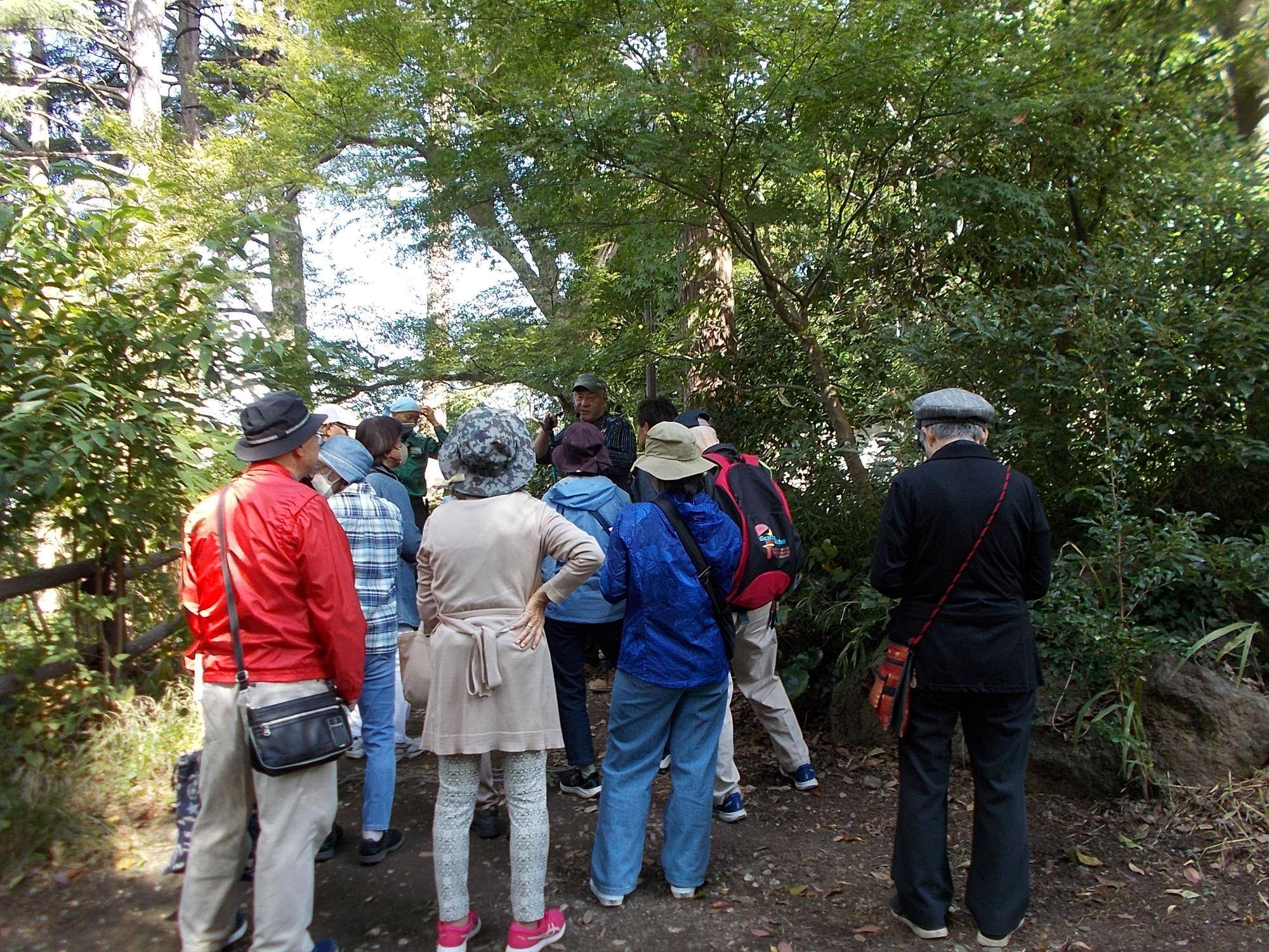 DSCN0202.jpg