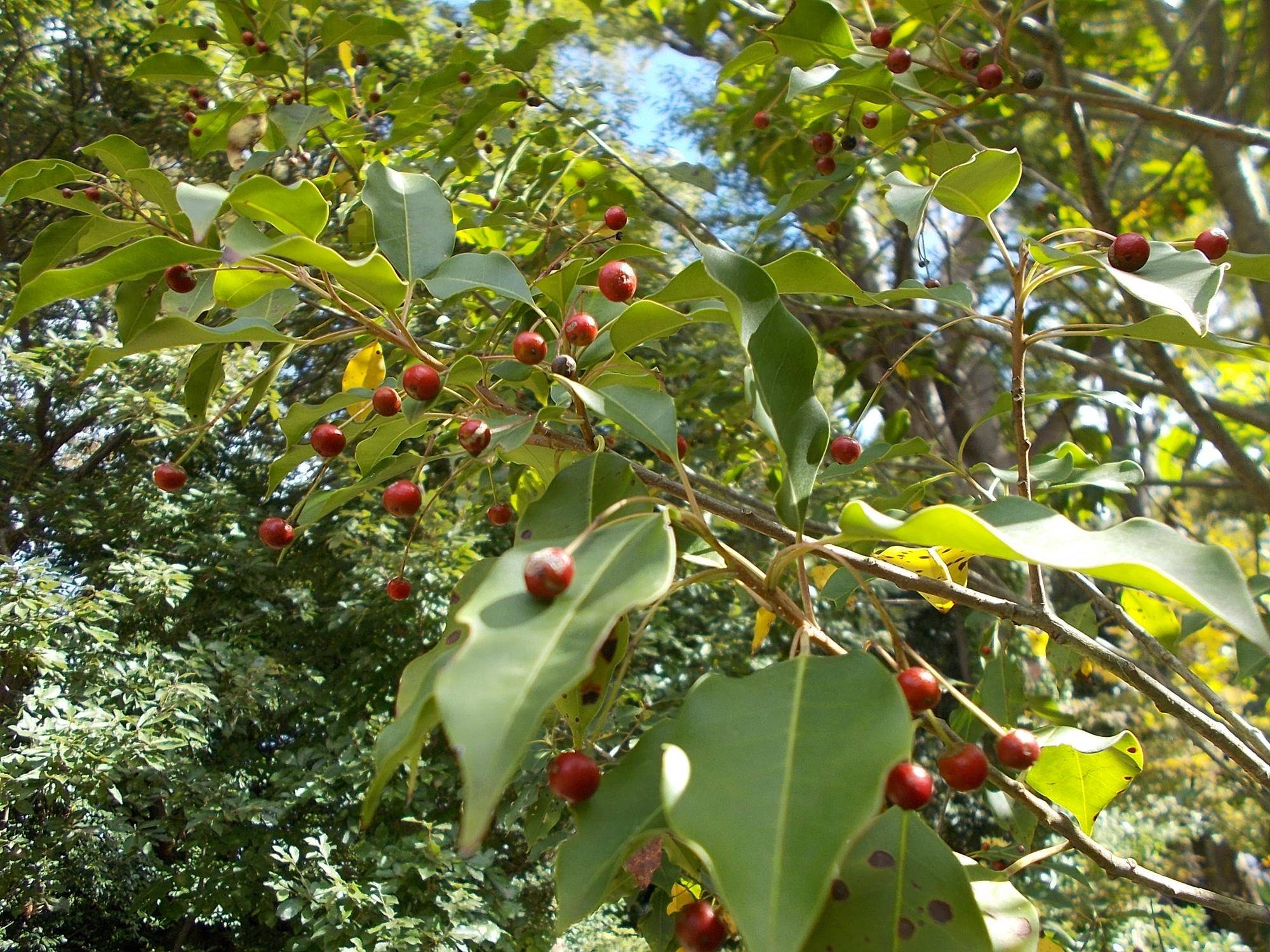 DSCN0215.jpg