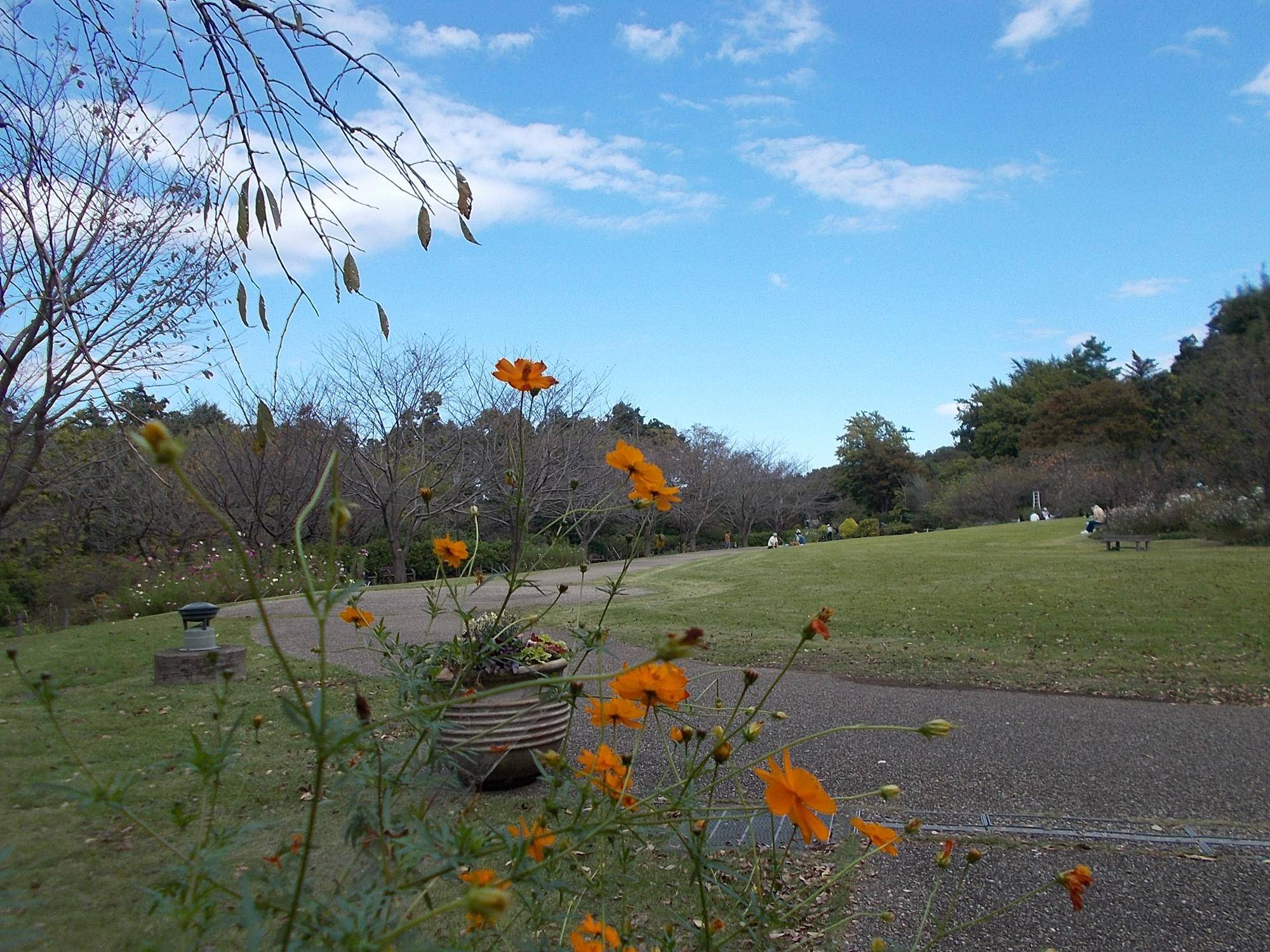 DSCN0244.jpg