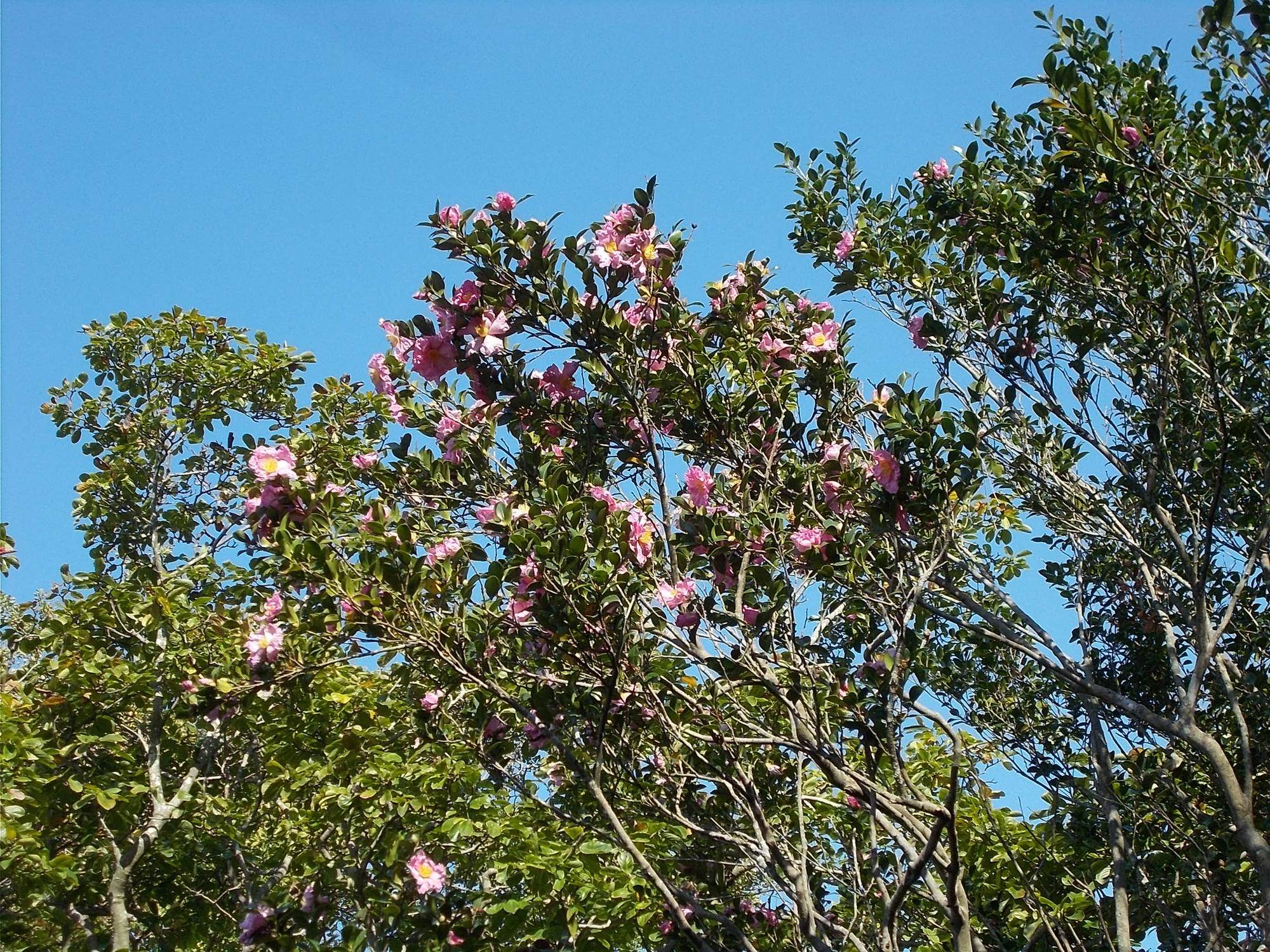 DSCN0282.jpg