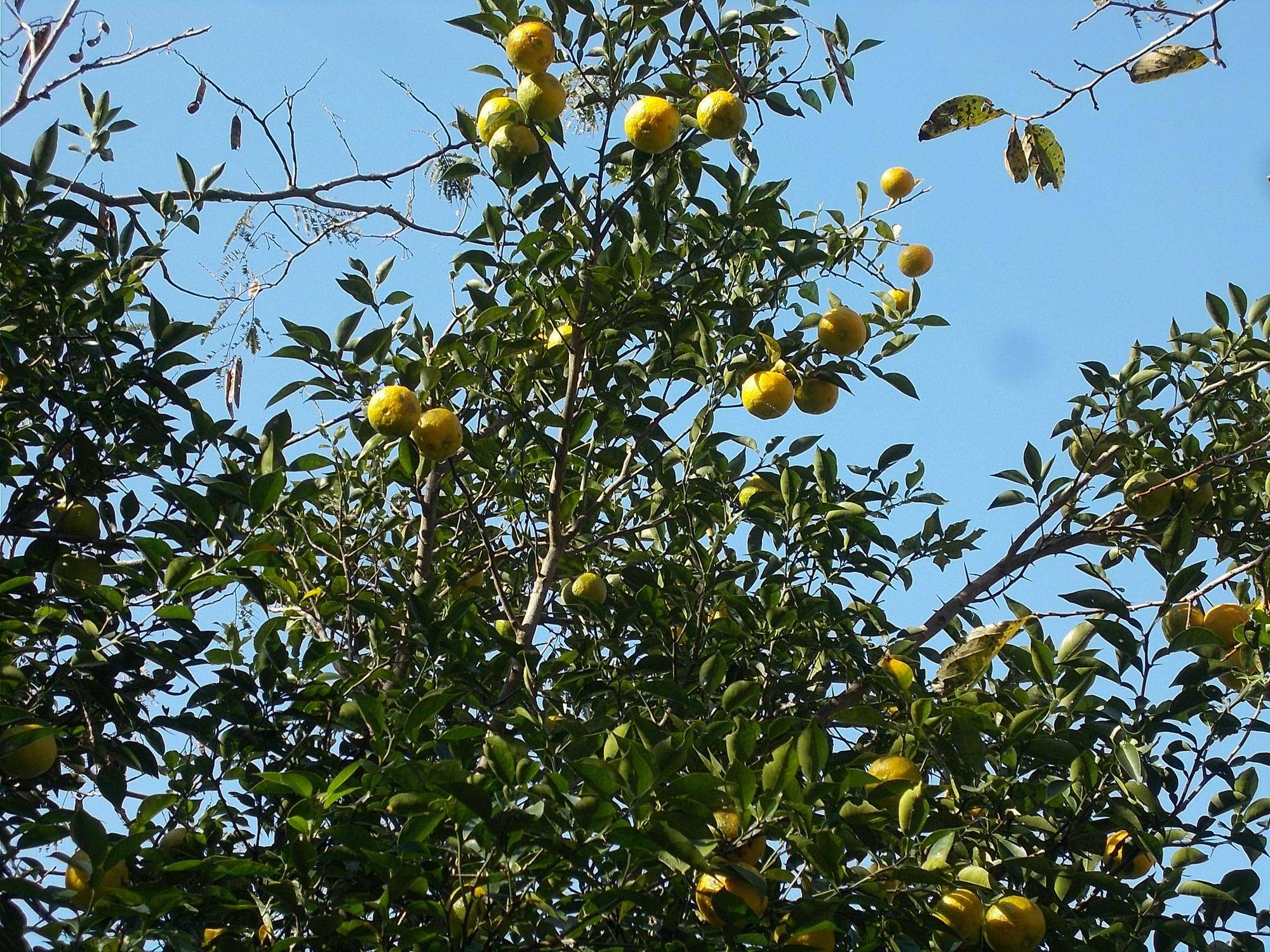 DSCN0285.jpg