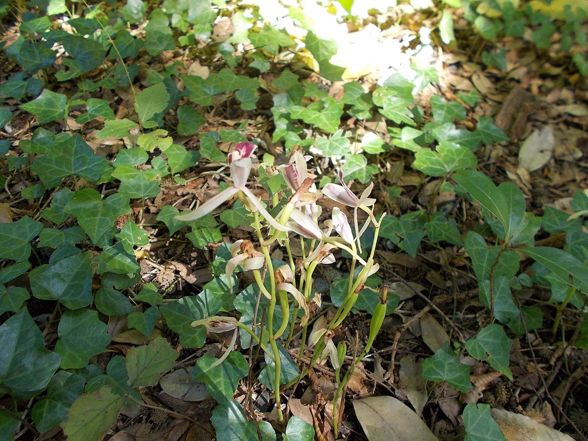 DSCN9959.jpg