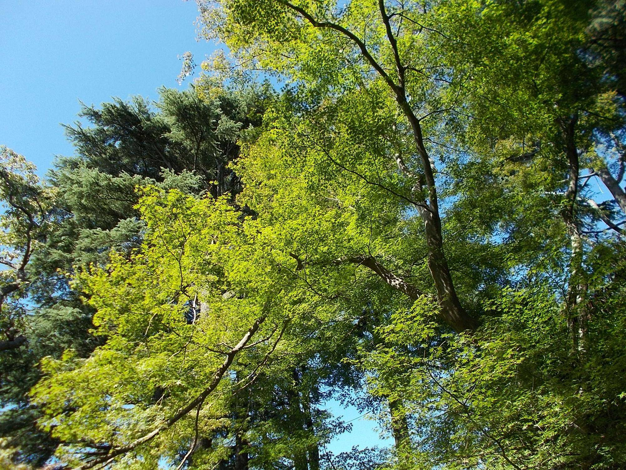 DSCN9963.jpg