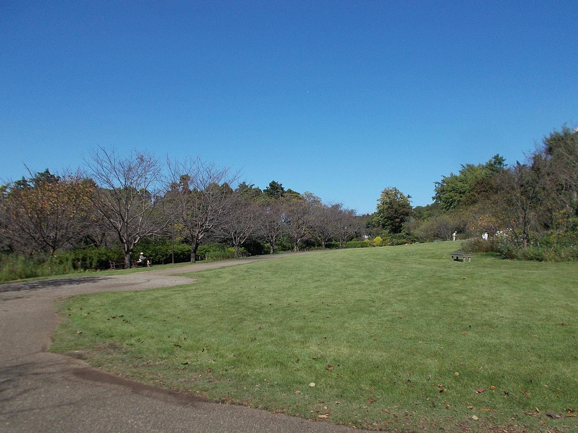 DSCN9965.jpg