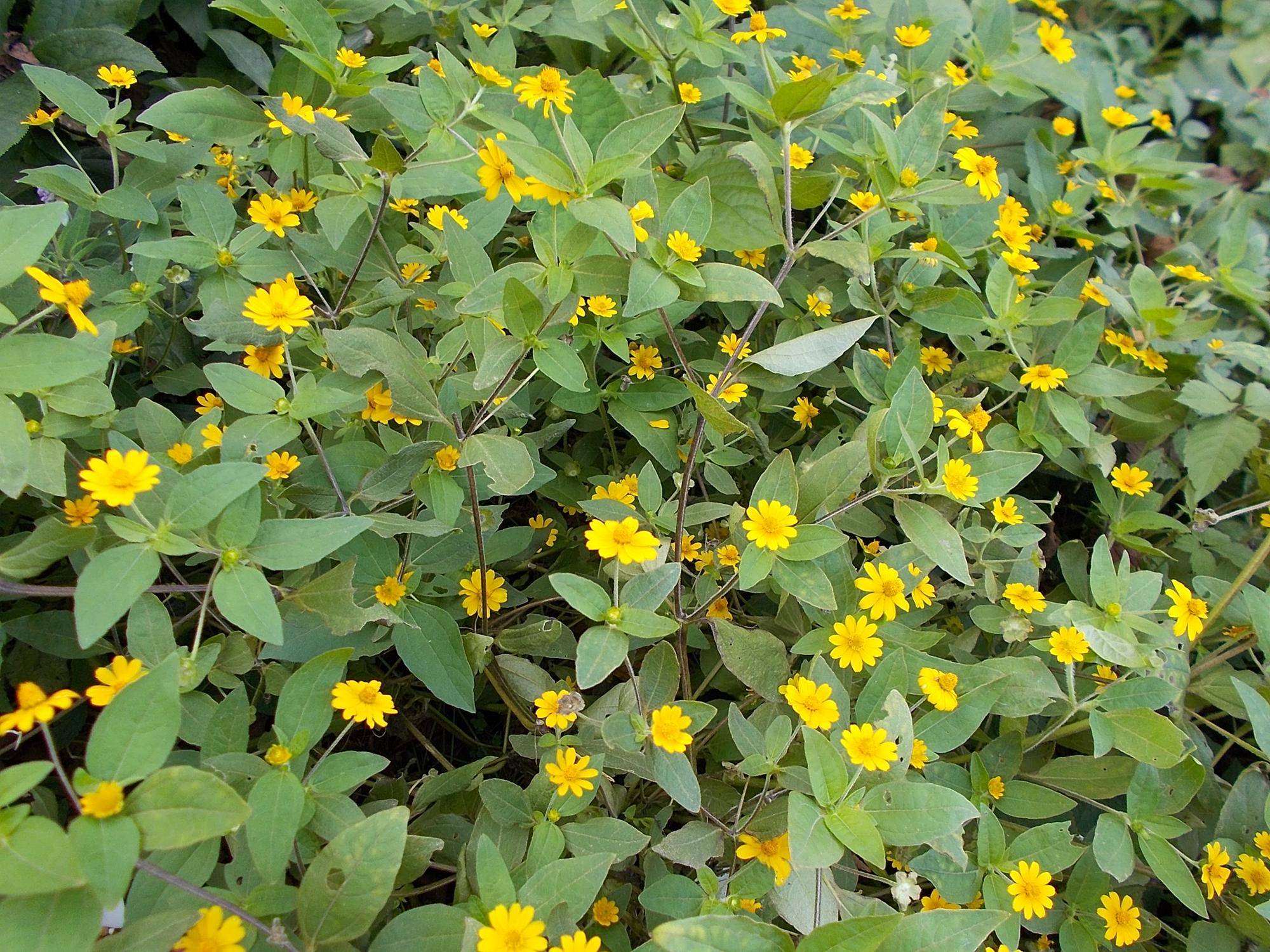 DSCN9966.jpg