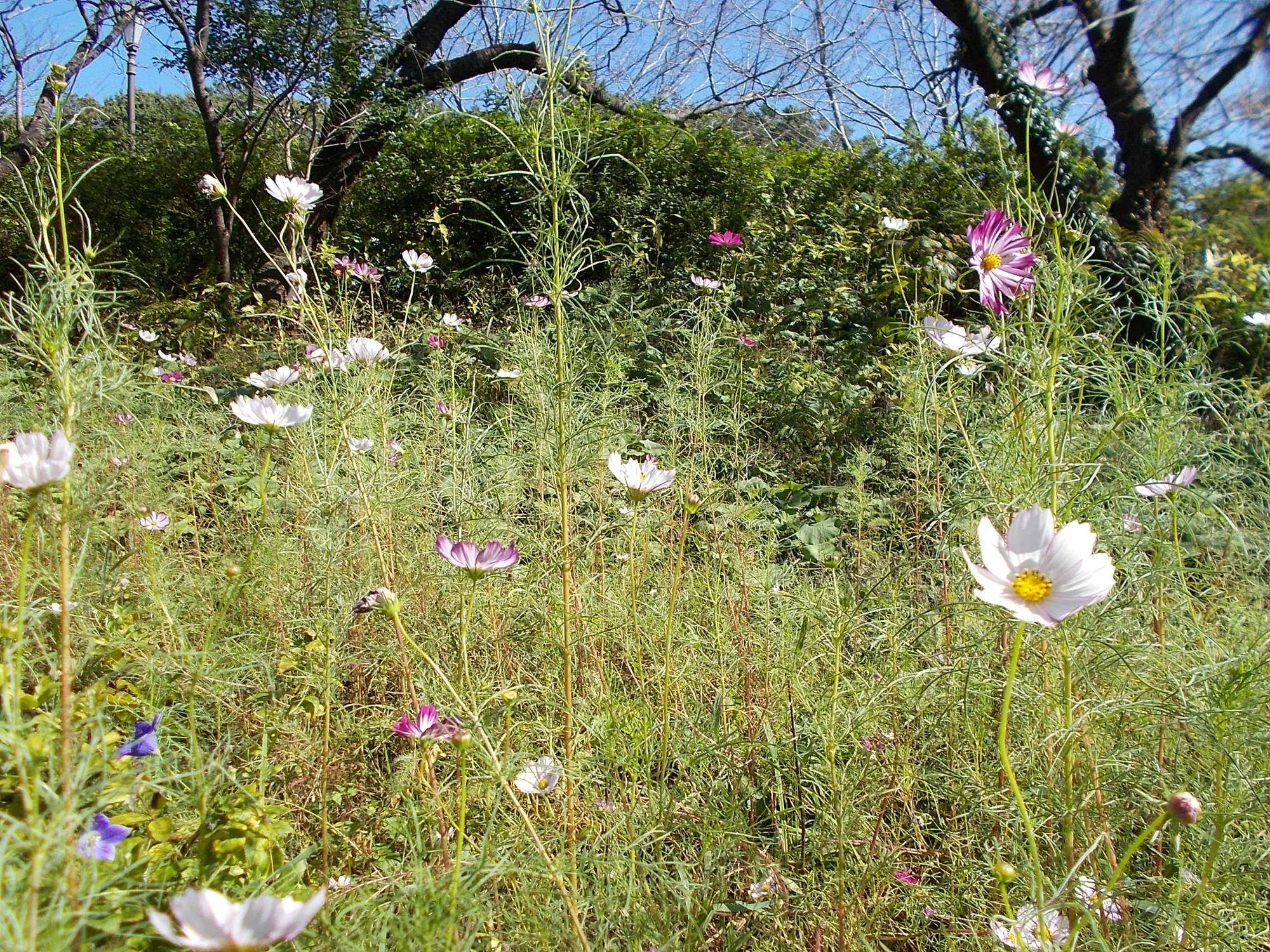 DSCN9968.jpg