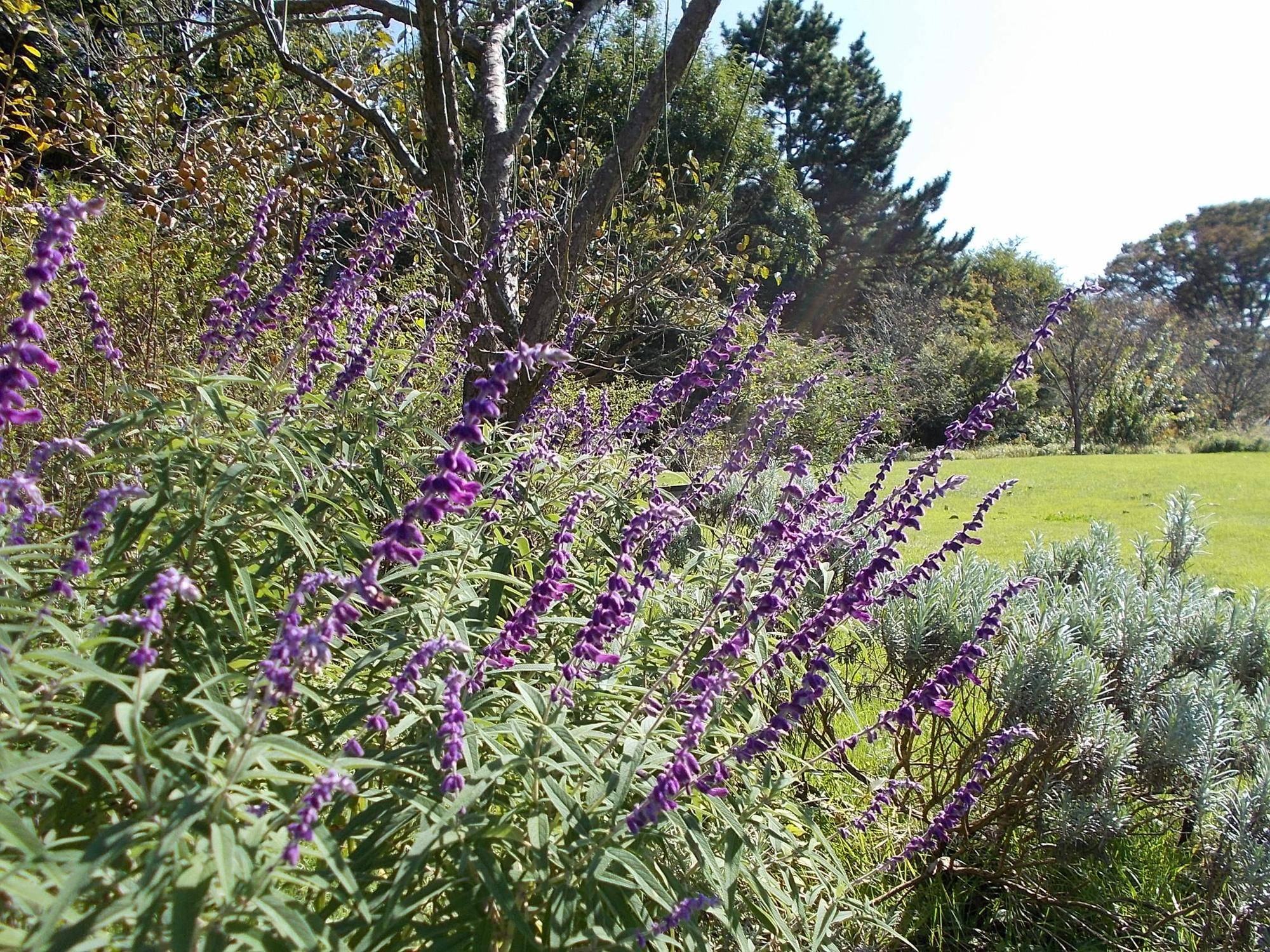DSCN9974.jpg