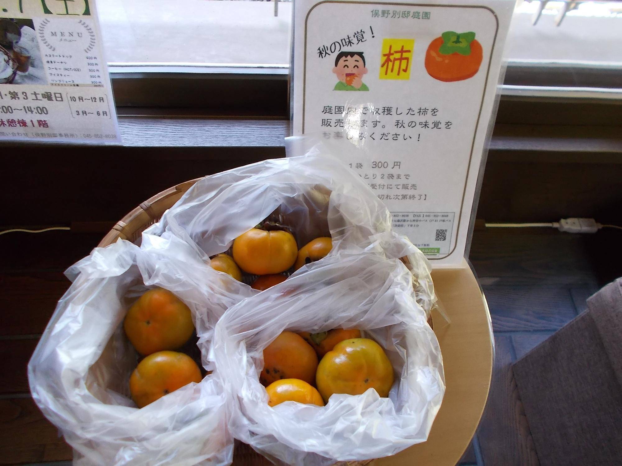 DSCN9991.jpg