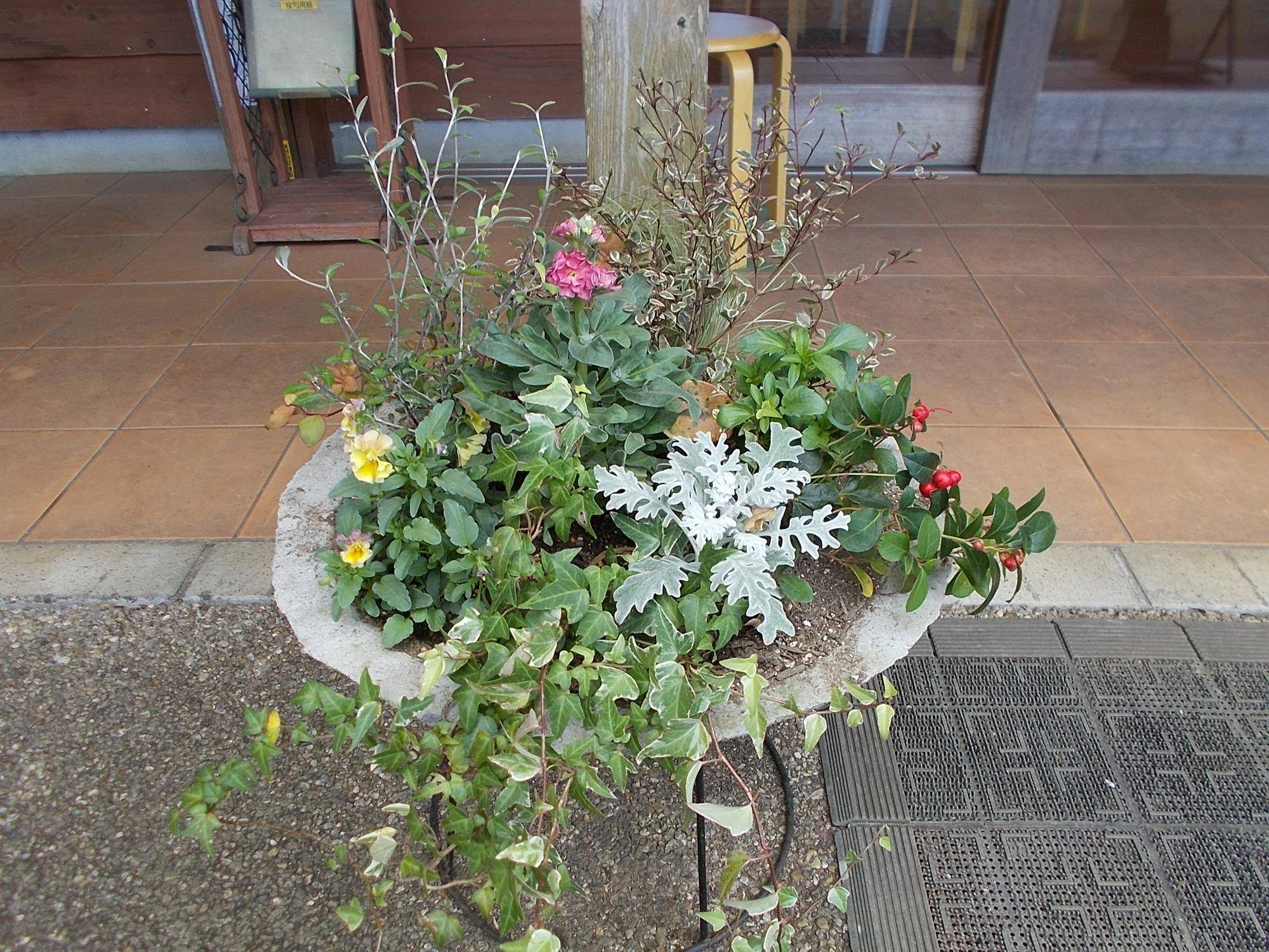 DSCN0246.jpg