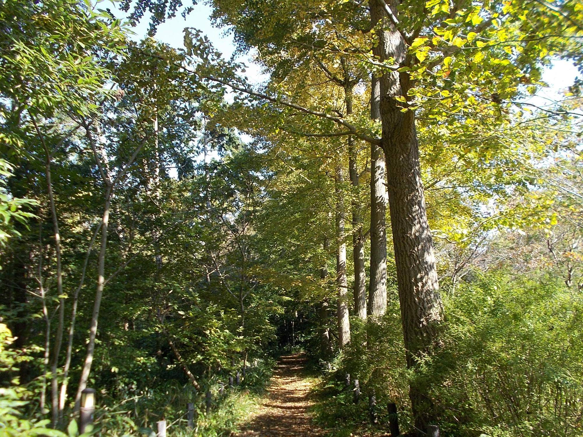 DSCN0265.jpg