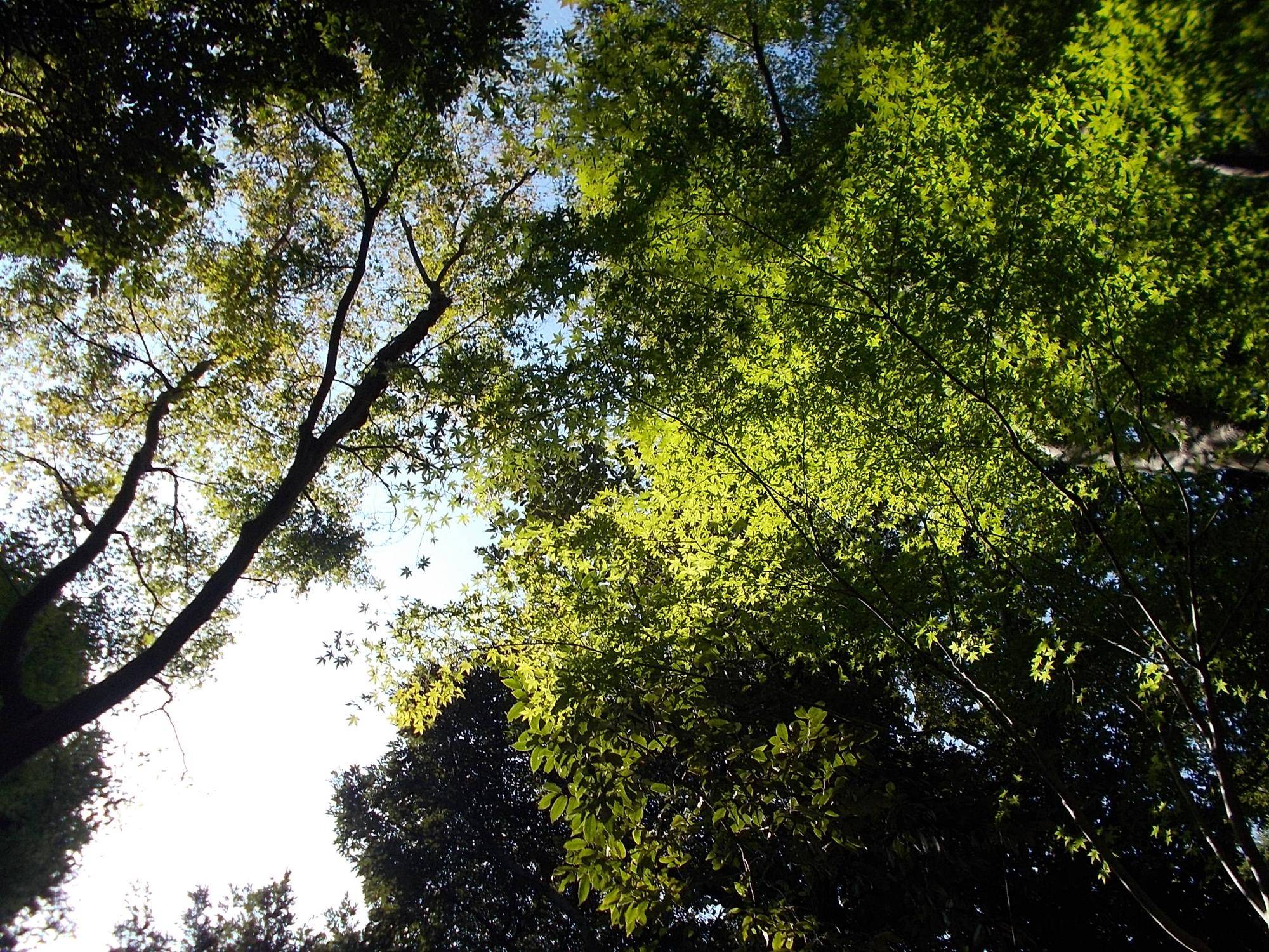 DSCN0317.jpg