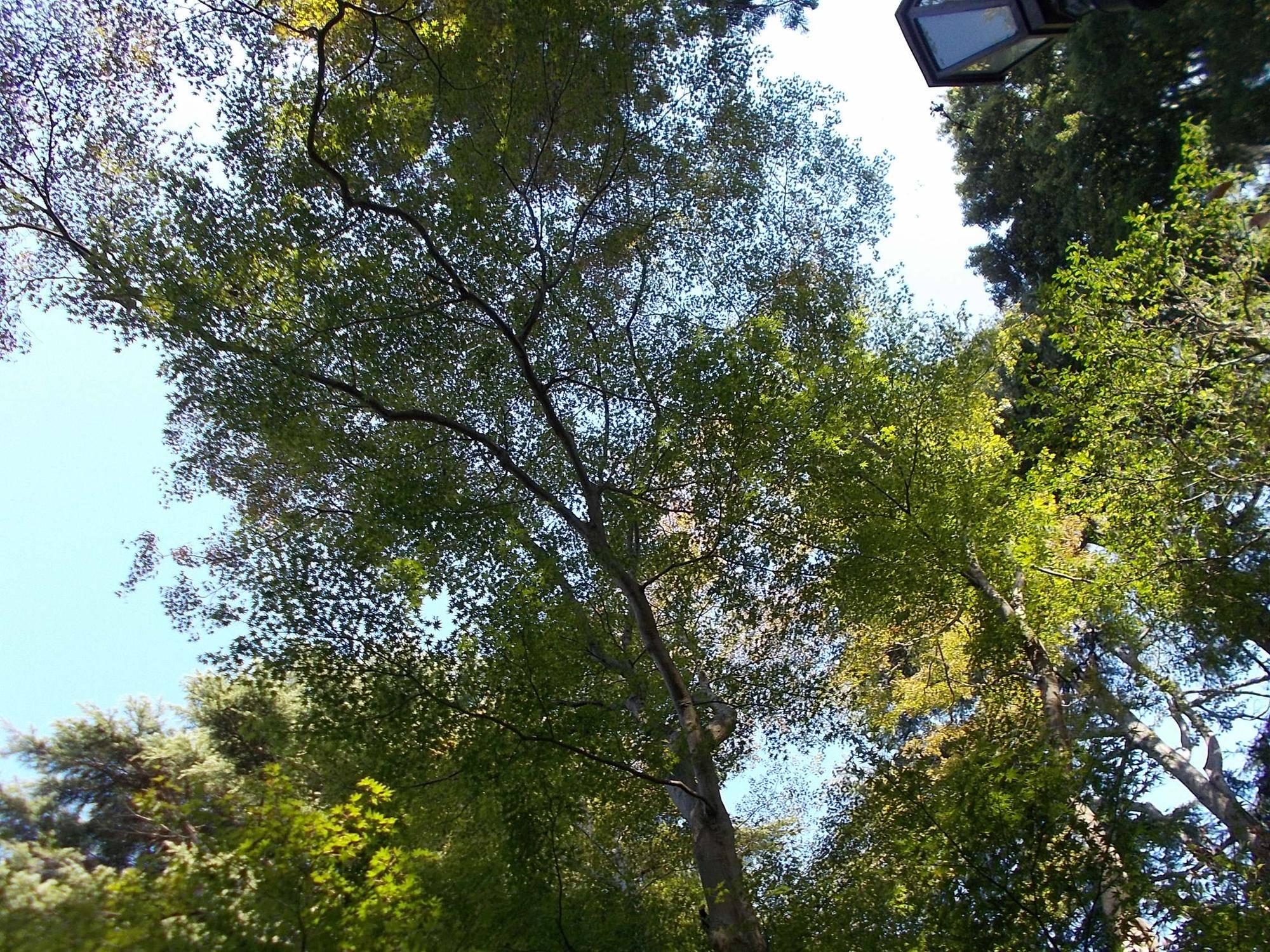 DSCN0318.jpg