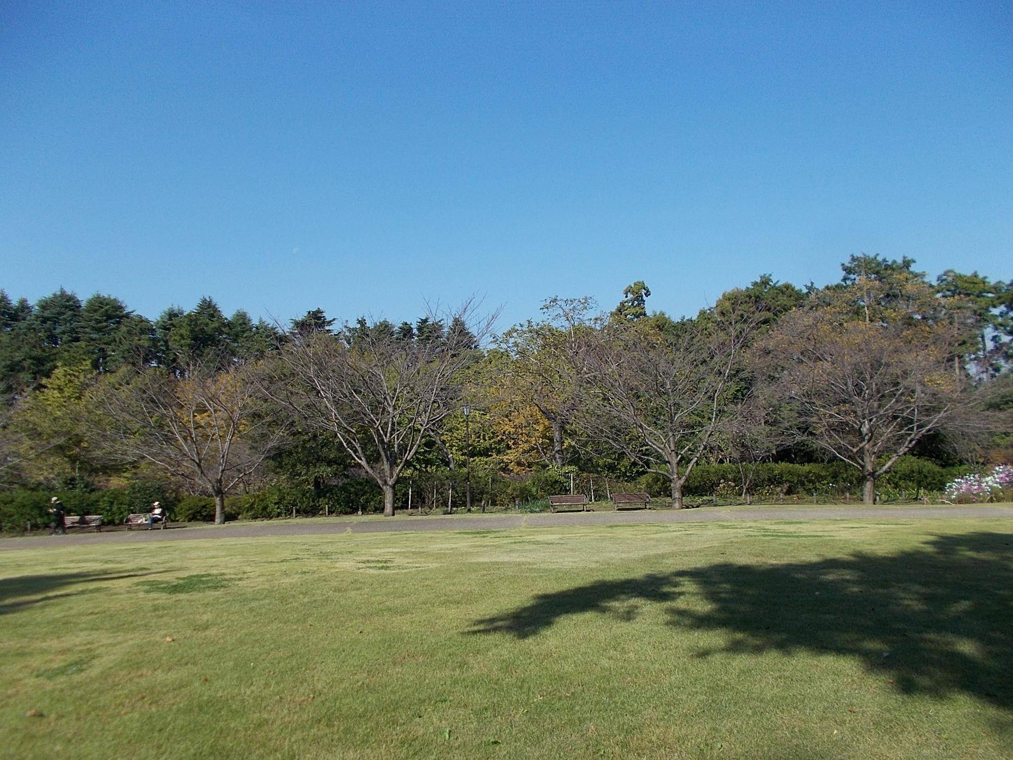 DSCN0329.jpg